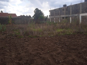 Land/Plot for sale in Nakuru Lanet Kitengela Land/Plots for sale at Kenyatta Road Valuers, Appraisers, Assessors, Realtors, Valuators, Properties, For sale, Valuers in Nakuru, Property valuers in Nakuru, Land valuers in Nakuru , Kenya Valuers, Appraisal, Realtors, Naivasha valuers, Land-Property valuers in Eldoret, Mombasa Valuers, Thika Valuers, Nakuru valuers, Kisumu valuers, Muranga valuers, Nyeri valuers, Meru valuers, Nanyuki valuers, Westlands valuers, Kiambu valuers, Thika valuers, Machakos valuers, Kitengela valuers, Kajiado valuers, Naivasha valuers, Kenya valuers, Westlands appraisers, Appraisers in Nairobi Kenya, Home appraisal in Nairobi, Realtors in Nairobi, Ruiru valuers, Karen valuers, Land assessors, evaluators nairobi, Valuators Nairobi Kenya, Property assessors Nairobi Kenya, Appraisers Nairobi Kenya, House assessment Nairobi Kenya, House evaluators Nairobi; Valuers Nairobi Kenya, Appraisers Nairobi Kenya, Assessors Nairobi Kenya, Property assessors Nairobi Kenya, Valuation Company in Nairobi Kenya, Valuation Companies in Nairobi Kenya, Property Valuation Company in Nairobi, Mombasa, Kisumu, Mombasa, Meru, Embu, Nyeri, Nanyuki Kenya, Meru Valuers, Embu Valuers, Nyeri Valuers, Kenya Valuation Companies, best valuation company in Kenya valuers, Appraisers, Assessors, Realtors, Valuators, Properties, For sale, Valuers in Nakuru, Property valuers in Nakuru, Land valuers in Nakuru , Kenya Valuers, Appraisal, Realtors, Naivasha valuers, Land-Property valuers in Eldoret, Mombasa Valuers, Thika Valuers, Nakuru valuers, Kisumu valuers, Muranga valuers, Nyeri valuers, Meru valuers, Nanyuki valuers, Westlands valuers, Kiambu valuers, Thika valuers, Machakos valuers, Kitengela valuers, Kajiado valuers, Naivasha valuers, Kenya valuers, Westlands appraisers, Appraisers in Nairobi Kenya, Home appraisal in Nairobi, Realtors in Nairobi, Ruiru valuers, Karen valuers, Land assessors, evaluators nairobi, Valuators Nairobi Kenya, Property assessors Nairobi Kenya, Appraisers Nairobi Kenya, House assessment Nairobi Kenya, House evaluators Nairobi; Valuers Nairobi Kenya, Appraisers Nairobi Kenya, Assessors Nairobi Kenya, Property assessors Nairobi Kenya, Valuation Company in Nairobi Kenya, Valuation Companies in Nairobi Kenya, Property Valuation Company in Nairobi, Mombasa, Kisumu, Mombasa, Meru, Embu, Nyeri, Nanyuki Kenya, Meru Valuers, Embu Valuers, Nyeri Valuers, Kenya Valuation Companies, best valuation company in Kenyaaluers, Appraisers, Assessors, Realtors, Valuators, Properties, For sale, Valuers in Nakuru, Property valuers in Nakuru, Land valuers in Nakuru , Kenya Valuers, Appraisal, Realtors, Naivasha valuers, Land-Property valuers in Eldoret, Mombasa Valuers, Thika Valuers, Nakuru valuers, Kisumu valuers, Muranga valuers, Nyeri valuers, Meru valuers, Nanyuki valuers, Westlands valuers, Kiambu valuers, Thika valuers, Machakos valuers, Kitengela valuers, Kajiado valuers, Naivasha valuers, Kenya valuers, Westlands appraisers, Appraisers in Nairobi Kenya, Home appraisal in Nairobi, Realtors in Nairobi, Ruiru valuers, Karen valuers, Land assessors, evaluators nairobi, Valuators Nairobi Kenya, Property assessors Nairobi Kenya, Appraisers Nairobi Kenya, House assessment Nairobi Kenya, House evaluators Nairobi; Valuers Nairobi Kenya, Appraisers Nairobi Kenya, Assessors Nairobi Kenya, Property assessors Nairobi Kenya, Valuation Company in Nairobi Kenya, Valuation Companies in Nairobi Kenya, Property Valuation Company in Nairobi, Mombasa, Kisumu, Mombasa, Meru, Embu, Nyeri, Nanyuki Kenya, Meru Valuers, Embu Valuers, Nyeri Valuers, Kenya Valuation Companies, best valuation company in Kenya; Land valuation company, land selling agents Nairobi Kenya, land selling company in Nakuru, property selling company Nakuru, Property selling agents in Naivasha Kenya, Properties for sale Nairobi Kenya, For sale Nairobi Kenya, Property assessor Nairobi Kenya, Valuators Nairobi Kenya, Property Evaluators Nairobi Kenya, Land assessors Nairobi Kenya, Muranga Valuers, Land values Kenya, Mombasa Appraisers, Naivasha Property appraisers, Kiambu property appraisers, Nanyuki Property appraisers, Nyeri property appraisers, Property appraisers Kenya, Property valuers Kenya, Valuators Kenya, Nairobi properties Kenya, Best valuers in Kenya, Kiambu property appraisers, Property valuers Kiambu Kenya, Registered Valuers Mombasa, Licensed valuers Nakuru, Registered valuers Nyeri, licensed valuers Mombasa, registered valuers Thika, Kenya valuers, Valuers Kenya, Kenya Properties, Nyandarua Valuers, Valuers in Nyahururu Laikipia, Nyahururu Valuers, Meru Valuers, Machakos Valuers, Valuers in Kitengela, Kamakis properties for sale, Ngong Valuers Kenya, Rongai Valuers Kenya, Ngong properties, Rongai properties for sale, Kiserian properties for sale, Kajiado county valuers, Karen property sales Nairobi, Westlands properties, Kikuyu properties for sale, Ruaka Valuers, Ruaka properties for sale, Land for sale in Ruaka, Kiambu Road Properties, Muthaiga Properties, Runda Properties, Thome Properties for sale, South C properties for sale, Nairobi west properties for sale, Lavington Properties for Sale/Rent, Kileleshwa Properties for Sale/Rent, Kasarani Properties for Sale/Rent, Embu properties for sale, Land for sale Kenya, Houses for sale in Kenya: Nairobi, Mombasa, Nakuru, Ruiru, Kisumu, Eldoret, Syokimau, Kitengela, Kitengela properties for sale