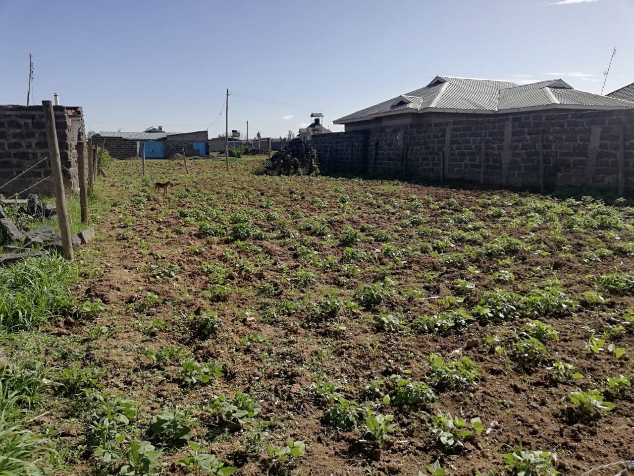 Land/Plots for sale in Nakuru Pipeline(Mzee Wa Nyama) Area