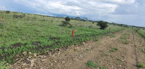 Land/Plots for sale in Kitengela Kitengela Land/Plots for sale at Kenyatta Road Valuers, Appraisers, Assessors, Realtors, Valuators, Properties, For sale, Valuers in Nakuru, Property valuers in Nakuru, Land valuers in Nakuru , Kenya Valuers, Appraisal, Realtors, Naivasha valuers, Land-Property valuers in Eldoret, Mombasa Valuers, Thika Valuers, Nakuru valuers, Kisumu valuers, Muranga valuers, Nyeri valuers, Meru valuers, Nanyuki valuers, Westlands valuers, Kiambu valuers, Thika valuers, Machakos valuers, Kitengela valuers, Kajiado valuers, Naivasha valuers, Kenya valuers, Westlands appraisers, Appraisers in Nairobi Kenya, Home appraisal in Nairobi, Realtors in Nairobi, Ruiru valuers, Karen valuers, Land assessors, evaluators nairobi, Valuators Nairobi Kenya, Property assessors Nairobi Kenya, Appraisers Nairobi Kenya, House assessment Nairobi Kenya, House evaluators Nairobi; Valuers Nairobi Kenya, Appraisers Nairobi Kenya, Assessors Nairobi Kenya, Property assessors Nairobi Kenya, Valuation Company in Nairobi Kenya, Valuation Companies in Nairobi Kenya, Property Valuation Company in Nairobi, Mombasa, Kisumu, Mombasa, Meru, Embu, Nyeri, Nanyuki Kenya, Meru Valuers, Embu Valuers, Nyeri Valuers, Kenya Valuation Companies, best valuation company in Kenya valuers, Appraisers, Assessors, Realtors, Valuators, Properties, For sale, Valuers in Nakuru, Property valuers in Nakuru, Land valuers in Nakuru , Kenya Valuers, Appraisal, Realtors, Naivasha valuers, Land-Property valuers in Eldoret, Mombasa Valuers, Thika Valuers, Nakuru valuers, Kisumu valuers, Muranga valuers, Nyeri valuers, Meru valuers, Nanyuki valuers, Westlands valuers, Kiambu valuers, Thika valuers, Machakos valuers, Kitengela valuers, Kajiado valuers, Naivasha valuers, Kenya valuers, Westlands appraisers, Appraisers in Nairobi Kenya, Home appraisal in Nairobi, Realtors in Nairobi, Ruiru valuers, Karen valuers, Land assessors, evaluators nairobi, Valuators Nairobi Kenya, Property assessors Nairobi Kenya, Appraisers Nairobi Kenya, House assessment Nairobi Kenya, House evaluators Nairobi; Valuers Nairobi Kenya, Appraisers Nairobi Kenya, Assessors Nairobi Kenya, Property assessors Nairobi Kenya, Valuation Company in Nairobi Kenya, Valuation Companies in Nairobi Kenya, Property Valuation Company in Nairobi, Mombasa, Kisumu, Mombasa, Meru, Embu, Nyeri, Nanyuki Kenya, Meru Valuers, Embu Valuers, Nyeri Valuers, Kenya Valuation Companies, best valuation company in Kenyaaluers, Appraisers, Assessors, Realtors, Valuators, Properties, For sale, Valuers in Nakuru, Property valuers in Nakuru, Land valuers in Nakuru , Kenya Valuers, Appraisal, Realtors, Naivasha valuers, Land-Property valuers in Eldoret, Mombasa Valuers, Thika Valuers, Nakuru valuers, Kisumu valuers, Muranga valuers, Nyeri valuers, Meru valuers, Nanyuki valuers, Westlands valuers, Kiambu valuers, Thika valuers, Machakos valuers, Kitengela valuers, Kajiado valuers, Naivasha valuers, Kenya valuers, Westlands appraisers, Appraisers in Nairobi Kenya, Home appraisal in Nairobi, Realtors in Nairobi, Ruiru valuers, Karen valuers, Land assessors, evaluators nairobi, Valuators Nairobi Kenya, Property assessors Nairobi Kenya, Appraisers Nairobi Kenya, House assessment Nairobi Kenya, House evaluators Nairobi; Valuers Nairobi Kenya, Appraisers Nairobi Kenya, Assessors Nairobi Kenya, Property assessors Nairobi Kenya, Valuation Company in Nairobi Kenya, Valuation Companies in Nairobi Kenya, Property Valuation Company in Nairobi, Mombasa, Kisumu, Mombasa, Meru, Embu, Nyeri, Nanyuki Kenya, Meru Valuers, Embu Valuers, Nyeri Valuers, Kenya Valuation Companies, best valuation company in Kenya; Land valuation company, land selling agents Nairobi Kenya, land selling company in Nakuru, property selling company Nakuru, Property selling agents in Naivasha Kenya, Properties for sale Nairobi Kenya, For sale Nairobi Kenya, Property assessor Nairobi Kenya, Valuators Nairobi Kenya, Property Evaluators Nairobi Kenya, Land assessors Nairobi Kenya, Muranga Valuers, Land values Kenya, Mombasa Appraisers, Naivasha Property appraisers, Kiambu property appraisers, Nanyuki Property appraisers, Nyeri property appraisers, Property appraisers Kenya, Property valuers Kenya, Valuators Kenya, Nairobi properties Kenya, Best valuers in Kenya, Kiambu property appraisers, Property valuers Kiambu Kenya, Registered Valuers Mombasa, Licensed valuers Nakuru, Registered valuers Nyeri, licensed valuers Mombasa, registered valuers Thika, Kenya valuers, Valuers Kenya, Kenya Properties, Nyandarua Valuers, Valuers in Nyahururu Laikipia, Nyahururu Valuers, Meru Valuers, Machakos Valuers, Valuers in Kitengela, Kamakis properties for sale, Ngong Valuers Kenya, Rongai Valuers Kenya, Ngong properties, Rongai properties for sale, Kiserian properties for sale, Kajiado county valuers, Karen property sales Nairobi, Westlands properties, Kikuyu properties for sale, Ruaka Valuers, Ruaka properties for sale, Land for sale in Ruaka, Kiambu Road Properties, Muthaiga Properties, Runda Properties, Thome Properties for sale, South C properties for sale, Nairobi west properties for sale, Lavington Properties for Sale/Rent, Kileleshwa Properties for Sale/Rent, Kasarani Properties for Sale/Rent, Embu properties for sale, Land for sale Kenya, Houses for sale in Kenya: Nairobi, Mombasa, Nakuru, Ruiru, Kisumu, Eldoret, Syokimau, Kitengela, Kitengela properties for sale