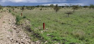 Kitengela Land/Plots for sale at Kenyatta Road Valuers, Appraisers, Assessors, Realtors, Valuators, Properties, For sale, Valuers in Nakuru, Property valuers in Nakuru, Land valuers in Nakuru , Kenya Valuers, Appraisal, Realtors, Naivasha valuers, Land-Property valuers in Eldoret, Mombasa Valuers, Thika Valuers, Nakuru valuers, Kisumu valuers, Muranga valuers, Nyeri valuers, Meru valuers, Nanyuki valuers, Westlands valuers, Kiambu valuers, Thika valuers, Machakos valuers, Kitengela valuers, Kajiado valuers, Naivasha valuers, Kenya valuers, Westlands appraisers, Appraisers in Nairobi Kenya, Home appraisal in Nairobi, Realtors in Nairobi, Ruiru valuers, Karen valuers, Land assessors, evaluators nairobi, Valuators Nairobi Kenya, Property assessors Nairobi Kenya, Appraisers Nairobi Kenya, House assessment Nairobi Kenya, House evaluators Nairobi; Valuers Nairobi Kenya, Appraisers Nairobi Kenya, Assessors Nairobi Kenya, Property assessors Nairobi Kenya, Valuation Company in Nairobi Kenya, Valuation Companies in Nairobi Kenya, Property Valuation Company in Nairobi, Mombasa, Kisumu, Mombasa, Meru, Embu, Nyeri, Nanyuki Kenya, Meru Valuers, Embu Valuers, Nyeri Valuers, Kenya Valuation Companies, best valuation company in Kenya valuers, Appraisers, Assessors, Realtors, Valuators, Properties, For sale, Valuers in Nakuru, Property valuers in Nakuru, Land valuers in Nakuru , Kenya Valuers, Appraisal, Realtors, Naivasha valuers, Land-Property valuers in Eldoret, Mombasa Valuers, Thika Valuers, Nakuru valuers, Kisumu valuers, Muranga valuers, Nyeri valuers, Meru valuers, Nanyuki valuers, Westlands valuers, Kiambu valuers, Thika valuers, Machakos valuers, Kitengela valuers, Kajiado valuers, Naivasha valuers, Kenya valuers, Westlands appraisers, Appraisers in Nairobi Kenya, Home appraisal in Nairobi, Realtors in Nairobi, Ruiru valuers, Karen valuers, Land assessors, evaluators nairobi, Valuators Nairobi Kenya, Property assessors Nairobi Kenya, Appraisers Nairobi Kenya, House assessment Nairobi Kenya, House evaluators Nairobi; Valuers Nairobi Kenya, Appraisers Nairobi Kenya, Assessors Nairobi Kenya, Property assessors Nairobi Kenya, Valuation Company in Nairobi Kenya, Valuation Companies in Nairobi Kenya, Property Valuation Company in Nairobi, Mombasa, Kisumu, Mombasa, Meru, Embu, Nyeri, Nanyuki Kenya, Meru Valuers, Embu Valuers, Nyeri Valuers, Kenya Valuation Companies, best valuation company in Kenyaaluers, Appraisers, Assessors, Realtors, Valuators, Properties, For sale, Valuers in Nakuru, Property valuers in Nakuru, Land valuers in Nakuru , Kenya Valuers, Appraisal, Realtors, Naivasha valuers, Land-Property valuers in Eldoret, Mombasa Valuers, Thika Valuers, Nakuru valuers, Kisumu valuers, Muranga valuers, Nyeri valuers, Meru valuers, Nanyuki valuers, Westlands valuers, Kiambu valuers, Thika valuers, Machakos valuers, Kitengela valuers, Kajiado valuers, Naivasha valuers, Kenya valuers, Westlands appraisers, Appraisers in Nairobi Kenya, Home appraisal in Nairobi, Realtors in Nairobi, Ruiru valuers, Karen valuers, Land assessors, evaluators nairobi, Valuators Nairobi Kenya, Property assessors Nairobi Kenya, Appraisers Nairobi Kenya, House assessment Nairobi Kenya, House evaluators Nairobi; Valuers Nairobi Kenya, Appraisers Nairobi Kenya, Assessors Nairobi Kenya, Property assessors Nairobi Kenya, Valuation Company in Nairobi Kenya, Valuation Companies in Nairobi Kenya, Property Valuation Company in Nairobi, Mombasa, Kisumu, Mombasa, Meru, Embu, Nyeri, Nanyuki Kenya, Meru Valuers, Embu Valuers, Nyeri Valuers, Kenya Valuation Companies, best valuation company in Kenya; Land valuation company, land selling agents Nairobi Kenya, land selling company in Nakuru, property selling company Nakuru, Property selling agents in Naivasha Kenya, Properties for sale Nairobi Kenya, For sale Nairobi Kenya, Property assessor Nairobi Kenya, Valuators Nairobi Kenya, Property Evaluators Nairobi Kenya, Land assessors Nairobi Kenya, Muranga Valuers, Land values Kenya, Mombasa Appraisers, Naivasha Property appraisers, Kiambu property appraisers, Nanyuki Property appraisers, Nyeri property appraisers, Property appraisers Kenya, Property valuers Kenya, Valuators Kenya, Nairobi properties Kenya, Best valuers in Kenya, Kiambu property appraisers, Property valuers Kiambu Kenya, Registered Valuers Mombasa, Licensed valuers Nakuru, Registered valuers Nyeri, licensed valuers Mombasa, registered valuers Thika, Kenya valuers, Valuers Kenya, Kenya Properties, Nyandarua Valuers, Valuers in Nyahururu Laikipia, Nyahururu Valuers, Meru Valuers, Machakos Valuers, Valuers in Kitengela, Kamakis properties for sale, Ngong Valuers Kenya, Rongai Valuers Kenya, Ngong properties, Rongai properties for sale, Kiserian properties for sale, Kajiado county valuers, Karen property sales Nairobi, Westlands properties, Kikuyu properties for sale, Ruaka Valuers, Ruaka properties for sale, Land for sale in Ruaka, Kiambu Road Properties, Muthaiga Properties, Runda Properties, Thome Properties for sale, South C properties for sale, Nairobi west properties for sale, Lavington Properties for Sale/Rent, Kileleshwa Properties for Sale/Rent, Kasarani Properties for Sale/Rent, Embu properties for sale, Land for sale Kenya, Houses for sale in Kenya: Nairobi, Mombasa, Nakuru, Ruiru, Kisumu, Eldoret, Syokimau, Kitengela, Kitengela properties for sale