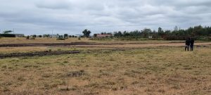 Land/Plots for sale in Isinya/Isinya Town Kitengela Land/Plots for sale at Kenyatta Road Valuers, Appraisers, Assessors, Realtors, Valuators, Properties, For sale, Valuers in Nakuru, Property valuers in Nakuru, Land valuers in Nakuru , Kenya Valuers, Appraisal, Realtors, Naivasha valuers, Land-Property valuers in Eldoret, Mombasa Valuers, Thika Valuers, Nakuru valuers, Kisumu valuers, Muranga valuers, Nyeri valuers, Meru valuers, Nanyuki valuers, Westlands valuers, Kiambu valuers, Thika valuers, Machakos valuers, Kitengela valuers, Kajiado valuers, Naivasha valuers, Kenya valuers, Westlands appraisers, Appraisers in Nairobi Kenya, Home appraisal in Nairobi, Realtors in Nairobi, Ruiru valuers, Karen valuers, Land assessors, evaluators nairobi, Valuators Nairobi Kenya, Property assessors Nairobi Kenya, Appraisers Nairobi Kenya, House assessment Nairobi Kenya, House evaluators Nairobi; Valuers Nairobi Kenya, Appraisers Nairobi Kenya, Assessors Nairobi Kenya, Property assessors Nairobi Kenya, Valuation Company in Nairobi Kenya, Valuation Companies in Nairobi Kenya, Property Valuation Company in Nairobi, Mombasa, Kisumu, Mombasa, Meru, Embu, Nyeri, Nanyuki Kenya, Meru Valuers, Embu Valuers, Nyeri Valuers, Kenya Valuation Companies, best valuation company in Kenya valuers, Appraisers, Assessors, Realtors, Valuators, Properties, For sale, Valuers in Nakuru, Property valuers in Nakuru, Land valuers in Nakuru , Kenya Valuers, Appraisal, Realtors, Naivasha valuers, Land-Property valuers in Eldoret, Mombasa Valuers, Thika Valuers, Nakuru valuers, Kisumu valuers, Muranga valuers, Nyeri valuers, Meru valuers, Nanyuki valuers, Westlands valuers, Kiambu valuers, Thika valuers, Machakos valuers, Kitengela valuers, Kajiado valuers, Naivasha valuers, Kenya valuers, Westlands appraisers, Appraisers in Nairobi Kenya, Home appraisal in Nairobi, Realtors in Nairobi, Ruiru valuers, Karen valuers, Land assessors, evaluators nairobi, Valuators Nairobi Kenya, Property assessors Nairobi Kenya, Appraisers Nairobi Kenya, House assessment Nairobi Kenya, House evaluators Nairobi; Valuers Nairobi Kenya, Appraisers Nairobi Kenya, Assessors Nairobi Kenya, Property assessors Nairobi Kenya, Valuation Company in Nairobi Kenya, Valuation Companies in Nairobi Kenya, Property Valuation Company in Nairobi, Mombasa, Kisumu, Mombasa, Meru, Embu, Nyeri, Nanyuki Kenya, Meru Valuers, Embu Valuers, Nyeri Valuers, Kenya Valuation Companies, best valuation company in Kenyaaluers, Appraisers, Assessors, Realtors, Valuators, Properties, For sale, Valuers in Nakuru, Property valuers in Nakuru, Land valuers in Nakuru , Kenya Valuers, Appraisal, Realtors, Naivasha valuers, Land-Property valuers in Eldoret, Mombasa Valuers, Thika Valuers, Nakuru valuers, Kisumu valuers, Muranga valuers, Nyeri valuers, Meru valuers, Nanyuki valuers, Westlands valuers, Kiambu valuers, Thika valuers, Machakos valuers, Kitengela valuers, Kajiado valuers, Naivasha valuers, Kenya valuers, Westlands appraisers, Appraisers in Nairobi Kenya, Home appraisal in Nairobi, Realtors in Nairobi, Ruiru valuers, Karen valuers, Land assessors, evaluators nairobi, Valuators Nairobi Kenya, Property assessors Nairobi Kenya, Appraisers Nairobi Kenya, House assessment Nairobi Kenya, House evaluators Nairobi; Valuers Nairobi Kenya, Appraisers Nairobi Kenya, Assessors Nairobi Kenya, Property assessors Nairobi Kenya, Valuation Company in Nairobi Kenya, Valuation Companies in Nairobi Kenya, Property Valuation Company in Nairobi, Mombasa, Kisumu, Mombasa, Meru, Embu, Nyeri, Nanyuki Kenya, Meru Valuers, Embu Valuers, Nyeri Valuers, Kenya Valuation Companies, best valuation company in Kenya; Land valuation company, land selling agents Nairobi Kenya, land selling company in Nakuru, property selling company Nakuru, Property selling agents in Naivasha Kenya, Properties for sale Nairobi Kenya, For sale Nairobi Kenya, Property assessor Nairobi Kenya, Valuators Nairobi Kenya, Property Evaluators Nairobi Kenya, Land assessors Nairobi Kenya, Muranga Valuers, Land values Kenya, Mombasa Appraisers, Naivasha Property appraisers, Kiambu property appraisers, Nanyuki Property appraisers, Nyeri property appraisers, Property appraisers Kenya, Property valuers Kenya, Valuators Kenya, Nairobi properties Kenya, Best valuers in Kenya, Kiambu property appraisers, Property valuers Kiambu Kenya, Registered Valuers Mombasa, Licensed valuers Nakuru, Registered valuers Nyeri, licensed valuers Mombasa, registered valuers Thika, Kenya valuers, Valuers Kenya, Kenya Properties, Nyandarua Valuers, Valuers in Nyahururu Laikipia, Nyahururu Valuers, Meru Valuers, Machakos Valuers, Valuers in Kitengela, Kamakis properties for sale, Ngong Valuers Kenya, Rongai Valuers Kenya, Ngong properties, Rongai properties for sale, Kiserian properties for sale, Kajiado county valuers, Karen property sales Nairobi, Westlands properties, Kikuyu properties for sale, Ruaka Valuers, Ruaka properties for sale, Land for sale in Ruaka, Kiambu Road Properties, Muthaiga Properties, Runda Properties, Thome Properties for sale, South C properties for sale, Nairobi west properties for sale, Lavington Properties for Sale/Rent, Kileleshwa Properties for Sale/Rent, Kasarani Properties for Sale/Rent, Embu properties for sale, Land for sale Kenya, Houses for sale in Kenya: Nairobi, Mombasa, Nakuru, Ruiru, Kisumu, Eldoret, Syokimau, Kitengela, Kitengela properties for sale