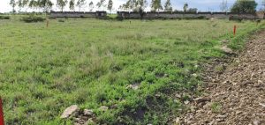 Kitengela Land/Plots for sale at Kenyatta Road Valuers, Appraisers, Assessors, Realtors, Valuators, Properties, For sale, Valuers in Nakuru, Property valuers in Nakuru, Land valuers in Nakuru , Kenya Valuers, Appraisal, Realtors, Naivasha valuers, Land-Property valuers in Eldoret, Mombasa Valuers, Thika Valuers, Nakuru valuers, Kisumu valuers, Muranga valuers, Nyeri valuers, Meru valuers, Nanyuki valuers, Westlands valuers, Kiambu valuers, Thika valuers, Machakos valuers, Kitengela valuers, Kajiado valuers, Naivasha valuers, Kenya valuers, Westlands appraisers, Appraisers in Nairobi Kenya, Home appraisal in Nairobi, Realtors in Nairobi, Ruiru valuers, Karen valuers, Land assessors, evaluators nairobi, Valuators Nairobi Kenya, Property assessors Nairobi Kenya, Appraisers Nairobi Kenya, House assessment Nairobi Kenya, House evaluators Nairobi; Valuers Nairobi Kenya, Appraisers Nairobi Kenya, Assessors Nairobi Kenya, Property assessors Nairobi Kenya, Valuation Company in Nairobi Kenya, Valuation Companies in Nairobi Kenya, Property Valuation Company in Nairobi, Mombasa, Kisumu, Mombasa, Meru, Embu, Nyeri, Nanyuki Kenya, Meru Valuers, Embu Valuers, Nyeri Valuers, Kenya Valuation Companies, best valuation company in Kenya valuers, Appraisers, Assessors, Realtors, Valuators, Properties, For sale, Valuers in Nakuru, Property valuers in Nakuru, Land valuers in Nakuru , Kenya Valuers, Appraisal, Realtors, Naivasha valuers, Land-Property valuers in Eldoret, Mombasa Valuers, Thika Valuers, Nakuru valuers, Kisumu valuers, Muranga valuers, Nyeri valuers, Meru valuers, Nanyuki valuers, Westlands valuers, Kiambu valuers, Thika valuers, Machakos valuers, Kitengela valuers, Kajiado valuers, Naivasha valuers, Kenya valuers, Westlands appraisers, Appraisers in Nairobi Kenya, Home appraisal in Nairobi, Realtors in Nairobi, Ruiru valuers, Karen valuers, Land assessors, evaluators nairobi, Valuators Nairobi Kenya, Property assessors Nairobi Kenya, Appraisers Nairobi Kenya, House assessment Nairobi Kenya, House evaluators Nairobi; Valuers Nairobi Kenya, Appraisers Nairobi Kenya, Assessors Nairobi Kenya, Property assessors Nairobi Kenya, Valuation Company in Nairobi Kenya, Valuation Companies in Nairobi Kenya, Property Valuation Company in Nairobi, Mombasa, Kisumu, Mombasa, Meru, Embu, Nyeri, Nanyuki Kenya, Meru Valuers, Embu Valuers, Nyeri Valuers, Kenya Valuation Companies, best valuation company in Kenyaaluers, Appraisers, Assessors, Realtors, Valuators, Properties, For sale, Valuers in Nakuru, Property valuers in Nakuru, Land valuers in Nakuru , Kenya Valuers, Appraisal, Realtors, Naivasha valuers, Land-Property valuers in Eldoret, Mombasa Valuers, Thika Valuers, Nakuru valuers, Kisumu valuers, Muranga valuers, Nyeri valuers, Meru valuers, Nanyuki valuers, Westlands valuers, Kiambu valuers, Thika valuers, Machakos valuers, Kitengela valuers, Kajiado valuers, Naivasha valuers, Kenya valuers, Westlands appraisers, Appraisers in Nairobi Kenya, Home appraisal in Nairobi, Realtors in Nairobi, Ruiru valuers, Karen valuers, Land assessors, evaluators nairobi, Valuators Nairobi Kenya, Property assessors Nairobi Kenya, Appraisers Nairobi Kenya, House assessment Nairobi Kenya, House evaluators Nairobi; Valuers Nairobi Kenya, Appraisers Nairobi Kenya, Assessors Nairobi Kenya, Property assessors Nairobi Kenya, Valuation Company in Nairobi Kenya, Valuation Companies in Nairobi Kenya, Property Valuation Company in Nairobi, Mombasa, Kisumu, Mombasa, Meru, Embu, Nyeri, Nanyuki Kenya, Meru Valuers, Embu Valuers, Nyeri Valuers, Kenya Valuation Companies, best valuation company in Kenya; Land valuation company, land selling agents Nairobi Kenya, land selling company in Nakuru, property selling company Nakuru, Property selling agents in Naivasha Kenya, Properties for sale Nairobi Kenya, For sale Nairobi Kenya, Property assessor Nairobi Kenya, Valuators Nairobi Kenya, Property Evaluators Nairobi Kenya, Land assessors Nairobi Kenya, Muranga Valuers, Land values Kenya, Mombasa Appraisers, Naivasha Property appraisers, Kiambu property appraisers, Nanyuki Property appraisers, Nyeri property appraisers, Property appraisers Kenya, Property valuers Kenya, Valuators Kenya, Nairobi properties Kenya, Best valuers in Kenya, Kiambu property appraisers, Property valuers Kiambu Kenya, Registered Valuers Mombasa, Licensed valuers Nakuru, Registered valuers Nyeri, licensed valuers Mombasa, registered valuers Thika, Kenya valuers, Valuers Kenya, Kenya Properties, Nyandarua Valuers, Valuers in Nyahururu Laikipia, Nyahururu Valuers, Meru Valuers, Machakos Valuers, Valuers in Kitengela, Kamakis properties for sale, Ngong Valuers Kenya, Rongai Valuers Kenya, Ngong properties, Rongai properties for sale, Kiserian properties for sale, Kajiado county valuers, Karen property sales Nairobi, Westlands properties, Kikuyu properties for sale, Ruaka Valuers, Ruaka properties for sale, Land for sale in Ruaka, Kiambu Road Properties, Muthaiga Properties, Runda Properties, Thome Properties for sale, South C properties for sale, Nairobi west properties for sale, Lavington Properties for Sale/Rent, Kileleshwa Properties for Sale/Rent, Kasarani Properties for Sale/Rent, Embu properties for sale, Land for sale Kenya, Houses for sale in Kenya: Nairobi, Mombasa, Nakuru, Ruiru, Kisumu, Eldoret, Syokimau, Kitengela, Kitengela properties for sale