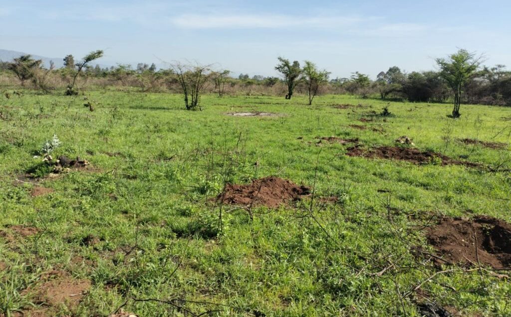 Land for sale in Kabarak Nakuru