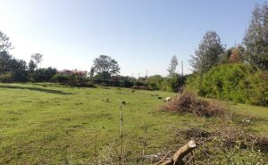 Land/Plot for sale in Kiamunyi Nakuru Valuers, Appraisers, Assessors, Realtors, Valuators, Properties, For sale, Valuers in Nakuru, Property valuers in Nakuru, Land valuers in Nakuru , Kenya Valuers, Appraisal, Realtors, Naivasha valuers, Land-Property valuers in Eldoret, Mombasa Valuers, Thika Valuers, Nakuru valuers, Kisumu valuers, Muranga valuers, Nyeri valuers, Meru valuers, Nanyuki valuers, Westlands valuers, Kiambu valuers, Thika valuers, Machakos valuers, Kitengela valuers, Kajiado valuers, Naivasha valuers, Kenya valuers, Westlands appraisers, Appraisers in Nairobi Kenya, Home appraisal in Nairobi, Realtors in Nairobi, Ruiru valuers, Karen valuers, Land assessors, evaluators nairobi, Valuators Nairobi Kenya, Property assessors Nairobi Kenya, Appraisers Nairobi Kenya, House assessment Nairobi Kenya, House evaluators Nairobi; Valuers Nairobi Kenya, Appraisers Nairobi Kenya, Assessors Nairobi Kenya, Property assessors Nairobi Kenya, Valuation Company in Nairobi Kenya, Valuation Companies in Nairobi Kenya, Property Valuation Company in Nairobi, Mombasa, Kisumu, Mombasa, Meru, Embu, Nyeri, Nanyuki Kenya, Meru Valuers, Embu Valuers, Nyeri Valuers, Kenya Valuation Companies, best valuation company in Kenya valuers, Appraisers, Assessors, Realtors, Valuators, Properties, For sale, Valuers in Nakuru, Property valuers in Nakuru, Land valuers in Nakuru , Kenya Valuers, Appraisal, Realtors, Naivasha valuers, Land-Property valuers in Eldoret, Mombasa Valuers, Thika Valuers, Nakuru valuers, Kisumu valuers, Muranga valuers, Nyeri valuers, Meru valuers, Nanyuki valuers, Westlands valuers, Kiambu valuers, Thika valuers, Machakos valuers, Kitengela valuers, Kajiado valuers, Naivasha valuers, Kenya valuers, Westlands appraisers, Appraisers in Nairobi Kenya, Home appraisal in Nairobi, Realtors in Nairobi, Ruiru valuers, Karen valuers, Land assessors, evaluators nairobi, Valuators Nairobi Kenya, Property assessors Nairobi Kenya, Appraisers Nairobi Kenya, House assessment Nairobi Kenya, House evaluators Nairobi; Valuers Nairobi Kenya, Appraisers Nairobi Kenya, Assessors Nairobi Kenya, Property assessors Nairobi Kenya, Valuation Company in Nairobi Kenya, Valuation Companies in Nairobi Kenya, Property Valuation Company in Nairobi, Mombasa, Kisumu, Mombasa, Meru, Embu, Nyeri, Nanyuki Kenya, Meru Valuers, Embu Valuers, Nyeri Valuers, Kenya Valuation Companies, best valuation company in Kenyaaluers, Appraisers, Assessors, Realtors, Valuators, Properties, For sale, Valuers in Nakuru, Property valuers in Nakuru, Land valuers in Nakuru , Kenya Valuers, Appraisal, Realtors, Naivasha valuers, Land-Property valuers in Eldoret, Mombasa Valuers, Thika Valuers, Nakuru valuers, Kisumu valuers, Muranga valuers, Nyeri valuers, Meru valuers, Nanyuki valuers, Westlands valuers, Kiambu valuers, Thika valuers, Machakos valuers, Kitengela valuers, Kajiado valuers, Naivasha valuers, Kenya valuers, Westlands appraisers, Appraisers in Nairobi Kenya, Home appraisal in Nairobi, Realtors in Nairobi, Ruiru valuers, Karen valuers, Land assessors, evaluators nairobi, Valuators Nairobi Kenya, Property assessors Nairobi Kenya, Appraisers Nairobi Kenya, House assessment Nairobi Kenya, House evaluators Nairobi; Valuers Nairobi Kenya, Appraisers Nairobi Kenya, Assessors Nairobi Kenya, Property assessors Nairobi Kenya, Valuation Company in Nairobi Kenya, Valuation Companies in Nairobi Kenya, Property Valuation Company in Nairobi, Mombasa, Kisumu, Mombasa, Meru, Embu, Nyeri, Nanyuki Kenya, Meru Valuers, Embu Valuers, Nyeri Valuers, Kenya Valuation Companies, best valuation company in Kenya; Land valuation company, land selling agents Nairobi Kenya, land selling company in Nakuru, property selling company Nakuru, Property selling agents in Naivasha Kenya, Properties for sale Nairobi Kenya, For sale Nairobi Kenya, Property assessor Nairobi Kenya, Valuators Nairobi Kenya, Property Evaluators Nairobi Kenya, Land assessors Nairobi Kenya, Muranga Valuers, Land values Kenya, Mombasa Appraisers, Naivasha Property appraisers, Kiambu property appraisers, Nanyuki Property appraisers, Nyeri property appraisers, Property appraisers Kenya, Property valuers Kenya, Valuators Kenya, Nairobi properties Kenya, Best valuers in Kenya, Kiambu property appraisers, Property valuers Kiambu Kenya, Registered Valuers Mombasa, Licensed valuers Nakuru, Registered valuers Nyeri, licensed valuers Mombasa, registered valuers Thika, Kenya valuers, Valuers Kenya