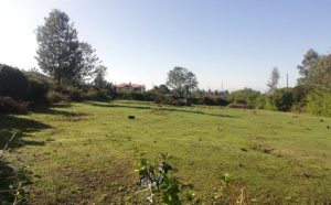 Land/Plot for sale in Kiamunyi Nakuru Valuers, Appraisers, Assessors, Realtors, Valuators, Properties, For sale, Valuers in Nakuru, Property valuers in Nakuru, Land valuers in Nakuru , Kenya Valuers, Appraisal, Realtors, Naivasha valuers, Land-Property valuers in Eldoret, Mombasa Valuers, Thika Valuers, Nakuru valuers, Kisumu valuers, Muranga valuers, Nyeri valuers, Meru valuers, Nanyuki valuers, Westlands valuers, Kiambu valuers, Thika valuers, Machakos valuers, Kitengela valuers, Kajiado valuers, Naivasha valuers, Kenya valuers, Westlands appraisers, Appraisers in Nairobi Kenya, Home appraisal in Nairobi, Realtors in Nairobi, Ruiru valuers, Karen valuers, Land assessors, evaluators nairobi, Valuators Nairobi Kenya, Property assessors Nairobi Kenya, Appraisers Nairobi Kenya, House assessment Nairobi Kenya, House evaluators Nairobi; Valuers Nairobi Kenya, Appraisers Nairobi Kenya, Assessors Nairobi Kenya, Property assessors Nairobi Kenya, Valuation Company in Nairobi Kenya, Valuation Companies in Nairobi Kenya, Property Valuation Company in Nairobi, Mombasa, Kisumu, Mombasa, Meru, Embu, Nyeri, Nanyuki Kenya, Meru Valuers, Embu Valuers, Nyeri Valuers, Kenya Valuation Companies, best valuation company in Kenya valuers, Appraisers, Assessors, Realtors, Valuators, Properties, For sale, Valuers in Nakuru, Property valuers in Nakuru, Land valuers in Nakuru , Kenya Valuers, Appraisal, Realtors, Naivasha valuers, Land-Property valuers in Eldoret, Mombasa Valuers, Thika Valuers, Nakuru valuers, Kisumu valuers, Muranga valuers, Nyeri valuers, Meru valuers, Nanyuki valuers, Westlands valuers, Kiambu valuers, Thika valuers, Machakos valuers, Kitengela valuers, Kajiado valuers, Naivasha valuers, Kenya valuers, Westlands appraisers, Appraisers in Nairobi Kenya, Home appraisal in Nairobi, Realtors in Nairobi, Ruiru valuers, Karen valuers, Land assessors, evaluators nairobi, Valuators Nairobi Kenya, Property assessors Nairobi Kenya, Appraisers Nairobi Kenya, House assessment Nairobi Kenya, House evaluators Nairobi; Valuers Nairobi Kenya, Appraisers Nairobi Kenya, Assessors Nairobi Kenya, Property assessors Nairobi Kenya, Valuation Company in Nairobi Kenya, Valuation Companies in Nairobi Kenya, Property Valuation Company in Nairobi, Mombasa, Kisumu, Mombasa, Meru, Embu, Nyeri, Nanyuki Kenya, Meru Valuers, Embu Valuers, Nyeri Valuers, Kenya Valuation Companies, best valuation company in Kenyaaluers, Appraisers, Assessors, Realtors, Valuators, Properties, For sale, Valuers in Nakuru, Property valuers in Nakuru, Land valuers in Nakuru , Kenya Valuers, Appraisal, Realtors, Naivasha valuers, Land-Property valuers in Eldoret, Mombasa Valuers, Thika Valuers, Nakuru valuers, Kisumu valuers, Muranga valuers, Nyeri valuers, Meru valuers, Nanyuki valuers, Westlands valuers, Kiambu valuers, Thika valuers, Machakos valuers, Kitengela valuers, Kajiado valuers, Naivasha valuers, Kenya valuers, Westlands appraisers, Appraisers in Nairobi Kenya, Home appraisal in Nairobi, Realtors in Nairobi, Ruiru valuers, Karen valuers, Land assessors, evaluators nairobi, Valuators Nairobi Kenya, Property assessors Nairobi Kenya, Appraisers Nairobi Kenya, House assessment Nairobi Kenya, House evaluators Nairobi; Valuers Nairobi Kenya, Appraisers Nairobi Kenya, Assessors Nairobi Kenya, Property assessors Nairobi Kenya, Valuation Company in Nairobi Kenya, Valuation Companies in Nairobi Kenya, Property Valuation Company in Nairobi, Mombasa, Kisumu, Mombasa, Meru, Embu, Nyeri, Nanyuki Kenya, Meru Valuers, Embu Valuers, Nyeri Valuers, Kenya Valuation Companies, best valuation company in Kenya; Land valuation company, land selling agents Nairobi Kenya, land selling company in Nakuru, property selling company Nakuru, Property selling agents in Naivasha Kenya, Properties for sale Nairobi Kenya, For sale Nairobi Kenya, Property assessor Nairobi Kenya, Valuators Nairobi Kenya, Property Evaluators Nairobi Kenya, Land assessors Nairobi Kenya, Muranga Valuers, Land values Kenya, Mombasa Appraisers, Naivasha Property appraisers, Kiambu property appraisers, Nanyuki Property appraisers, Nyeri property appraisers, Property appraisers Kenya, Property valuers Kenya, Valuators Kenya, Nairobi properties Kenya, Best valuers in Kenya, Kiambu property appraisers, Property valuers Kiambu Kenya, Registered Valuers Mombasa, Licensed valuers Nakuru, Registered valuers Nyeri, licensed valuers Mombasa, registered valuers Thika, Kenya valuers, Valuers Kenya