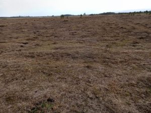 Land for sale in Ol-Kalou Nyandarua