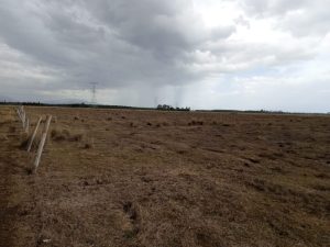 Land for sale in Ol-Kalou Nyandarua county