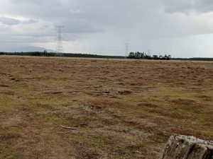 Land for sale in Ol-Kalou Nyandarua county