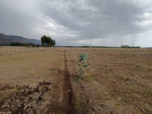 Land for sale in Ol-Kalou Nyandarua county