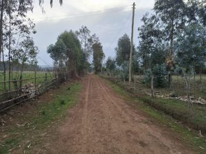 Land for sale in Ol-Kalou Nyandarua County Valuers, Appraisers, Assessors, Realtors, Valuators, Properties, For sale, Valuers in Nakuru, Property valuers in Nakuru, Land valuers in Nakuru , Kenya Valuers, Appraisal, Realtors, Naivasha valuers, Land-Property valuers in Eldoret, Mombasa Valuers, Thika Valuers, Nakuru valuers, Kisumu valuers, Muranga valuers, Nyeri valuers, Meru valuers, Nanyuki valuers, Westlands valuers, Kiambu valuers, Thika valuers, Machakos valuers, Kitengela valuers, Kajiado valuers, Naivasha valuers, Kenya valuers, Westlands appraisers, Appraisers in Nairobi Kenya, Home appraisal in Nairobi, Realtors in Nairobi, Ruiru valuers, Karen valuers, Land assessors, evaluators nairobi, Valuators Nairobi Kenya, Property assessors Nairobi Kenya, Appraisers Nairobi Kenya, House assessment Nairobi Kenya, House evaluators Nairobi; Valuers Nairobi Kenya, Appraisers Nairobi Kenya, Assessors Nairobi Kenya, Property assessors Nairobi Kenya, Valuation Company in Nairobi Kenya, Valuation Companies in Nairobi Kenya, Property Valuation Company in Nairobi, Mombasa, Kisumu, Mombasa, Meru, Embu, Nyeri, Nanyuki Kenya, Meru Valuers, Embu Valuers, Nyeri Valuers, Kenya Valuation Companies, best valuation company in Kenya valuers, Appraisers, Assessors, Realtors, Valuators, Properties, For sale, Valuers in Nakuru, Property valuers in Nakuru, Land valuers in Nakuru , Kenya Valuers, Appraisal, Realtors, Naivasha valuers, Land-Property valuers in Eldoret, Mombasa Valuers, Thika Valuers, Nakuru valuers, Kisumu valuers, Muranga valuers, Nyeri valuers, Meru valuers, Nanyuki valuers, Westlands valuers, Kiambu valuers, Thika valuers, Machakos valuers, Kitengela valuers, Kajiado valuers, Naivasha valuers, Kenya valuers, Westlands appraisers, Appraisers in Nairobi Kenya, Home appraisal in Nairobi, Realtors in Nairobi, Ruiru valuers, Karen valuers, Land assessors, evaluators nairobi, Valuators Nairobi Kenya, Property assessors Nairobi Kenya, Appraisers Nairobi Kenya, House assessment Nairobi Kenya, House evaluators Nairobi; Valuers Nairobi Kenya, Appraisers Nairobi Kenya, Assessors Nairobi Kenya, Property assessors Nairobi Kenya, Valuation Company in Nairobi Kenya, Valuation Companies in Nairobi Kenya, Property Valuation Company in Nairobi, Mombasa, Kisumu, Mombasa, Meru, Embu, Nyeri, Nanyuki Kenya, Meru Valuers, Embu Valuers, Nyeri Valuers, Kenya Valuation Companies, best valuation company in Kenyaaluers, Appraisers, Assessors, Realtors, Valuators, Properties, For sale, Valuers in Nakuru, Property valuers in Nakuru, Land valuers in Nakuru , Kenya Valuers, Appraisal, Realtors, Naivasha valuers, Land-Property valuers in Eldoret, Mombasa Valuers, Thika Valuers, Nakuru valuers, Kisumu valuers, Muranga valuers, Nyeri valuers, Meru valuers, Nanyuki valuers, Westlands valuers, Kiambu valuers, Thika valuers, Machakos valuers, Kitengela valuers, Kajiado valuers, Naivasha valuers, Kenya valuers, Westlands appraisers, Appraisers in Nairobi Kenya, Home appraisal in Nairobi, Realtors in Nairobi, Ruiru valuers, Karen valuers, Land assessors, evaluators nairobi, Valuators Nairobi Kenya, Property assessors Nairobi Kenya, Appraisers Nairobi Kenya, House assessment Nairobi Kenya, House evaluators Nairobi; Valuers Nairobi Kenya, Appraisers Nairobi Kenya, Assessors Nairobi Kenya, Property assessors Nairobi Kenya, Valuation Company in Nairobi Kenya, Valuation Companies in Nairobi Kenya, Property Valuation Company in Nairobi, Mombasa, Kisumu, Mombasa, Meru, Embu, Nyeri, Nanyuki Kenya, Meru Valuers, Embu Valuers, Nyeri Valuers, Kenya Valuation Companies, best valuation company in Kenya; Land valuation company, land selling agents Nairobi Kenya, land selling company in Nakuru, property selling company Nakuru, Property selling agents in Naivasha Kenya, Properties for sale Nairobi Kenya, For sale Nairobi Kenya, Property assessor Nairobi Kenya, Valuators Nairobi Kenya, Property Evaluators Nairobi Kenya, Land assessors Nairobi Kenya, Muranga Valuers, Land values Kenya, Mombasa Appraisers, Naivasha Property appraisers, Kiambu property appraisers, Nanyuki Property appraisers, Nyeri property appraisers, Property appraisers Kenya, Property valuers Kenya, Valuators Kenya, Nairobi properties Kenya, Best valuers in Kenya, Kiambu property appraisers, Property valuers Kiambu Kenya, Registered Valuers Mombasa, Licensed valuers Nakuru, Registered valuers Nyeri, licensed valuers Mombasa, registered valuers Thika, Kenya valuers, Valuers Kenya, Kenya Properties