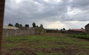 Land/Plot for sale in Nakuru Sobea/Ngata