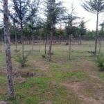 Land for sale in Ol-Kalou Nyandarua County