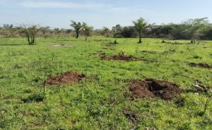 Land for sale in Kabarak Nakuru