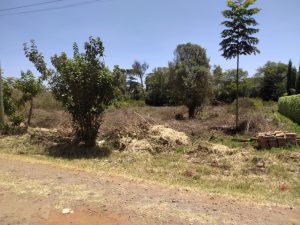 Land/Plot for sale in Karen Kitengela Land/Plots for sale at Kenyatta Road Valuers, Appraisers, Assessors, Realtors, Valuators, Properties, For sale, Valuers in Nakuru, Property valuers in Nakuru, Land valuers in Nakuru , Kenya Valuers, Appraisal, Realtors, Naivasha valuers, Land-Property valuers in Eldoret, Mombasa Valuers, Thika Valuers, Nakuru valuers, Kisumu valuers, Muranga valuers, Nyeri valuers, Meru valuers, Nanyuki valuers, Westlands valuers, Kiambu valuers, Thika valuers, Machakos valuers, Kitengela valuers, Kajiado valuers, Naivasha valuers, Kenya valuers, Westlands appraisers, Appraisers in Nairobi Kenya, Home appraisal in Nairobi, Realtors in Nairobi, Ruiru valuers, Karen valuers, Land assessors, evaluators nairobi, Valuators Nairobi Kenya, Property assessors Nairobi Kenya, Appraisers Nairobi Kenya, House assessment Nairobi Kenya, House evaluators Nairobi; Valuers Nairobi Kenya, Appraisers Nairobi Kenya, Assessors Nairobi Kenya, Property assessors Nairobi Kenya, Valuation Company in Nairobi Kenya, Valuation Companies in Nairobi Kenya, Property Valuation Company in Nairobi, Mombasa, Kisumu, Mombasa, Meru, Embu, Nyeri, Nanyuki Kenya, Meru Valuers, Embu Valuers, Nyeri Valuers, Kenya Valuation Companies, best valuation company in Kenya valuers, Appraisers, Assessors, Realtors, Valuators, Properties, For sale, Valuers in Nakuru, Property valuers in Nakuru, Land valuers in Nakuru , Kenya Valuers, Appraisal, Realtors, Naivasha valuers, Land-Property valuers in Eldoret, Mombasa Valuers, Thika Valuers, Nakuru valuers, Kisumu valuers, Muranga valuers, Nyeri valuers, Meru valuers, Nanyuki valuers, Westlands valuers, Kiambu valuers, Thika valuers, Machakos valuers, Kitengela valuers, Kajiado valuers, Naivasha valuers, Kenya valuers, Westlands appraisers, Appraisers in Nairobi Kenya, Home appraisal in Nairobi, Realtors in Nairobi, Ruiru valuers, Karen valuers, Land assessors, evaluators nairobi, Valuators Nairobi Kenya, Property assessors Nairobi Kenya, Appraisers Nairobi Kenya, House assessment Nairobi Kenya, House evaluators Nairobi; Valuers Nairobi Kenya, Appraisers Nairobi Kenya, Assessors Nairobi Kenya, Property assessors Nairobi Kenya, Valuation Company in Nairobi Kenya, Valuation Companies in Nairobi Kenya, Property Valuation Company in Nairobi, Mombasa, Kisumu, Mombasa, Meru, Embu, Nyeri, Nanyuki Kenya, Meru Valuers, Embu Valuers, Nyeri Valuers, Kenya Valuation Companies, best valuation company in Kenyaaluers, Appraisers, Assessors, Realtors, Valuators, Properties, For sale, Valuers in Nakuru, Property valuers in Nakuru, Land valuers in Nakuru , Kenya Valuers, Appraisal, Realtors, Naivasha valuers, Land-Property valuers in Eldoret, Mombasa Valuers, Thika Valuers, Nakuru valuers, Kisumu valuers, Muranga valuers, Nyeri valuers, Meru valuers, Nanyuki valuers, Westlands valuers, Kiambu valuers, Thika valuers, Machakos valuers, Kitengela valuers, Kajiado valuers, Naivasha valuers, Kenya valuers, Westlands appraisers, Appraisers in Nairobi Kenya, Home appraisal in Nairobi, Realtors in Nairobi, Ruiru valuers, Karen valuers, Land assessors, evaluators nairobi, Valuators Nairobi Kenya, Property assessors Nairobi Kenya, Appraisers Nairobi Kenya, House assessment Nairobi Kenya, House evaluators Nairobi; Valuers Nairobi Kenya, Appraisers Nairobi Kenya, Assessors Nairobi Kenya, Property assessors Nairobi Kenya, Valuation Company in Nairobi Kenya, Valuation Companies in Nairobi Kenya, Property Valuation Company in Nairobi, Mombasa, Kisumu, Mombasa, Meru, Embu, Nyeri, Nanyuki Kenya, Meru Valuers, Embu Valuers, Nyeri Valuers, Kenya Valuation Companies, best valuation company in Kenya; Land valuation company, land selling agents Nairobi Kenya, land selling company in Nakuru, property selling company Nakuru, Property selling agents in Naivasha Kenya, Properties for sale Nairobi Kenya, For sale Nairobi Kenya, Property assessor Nairobi Kenya, Valuators Nairobi Kenya, Property Evaluators Nairobi Kenya, Land assessors Nairobi Kenya, Muranga Valuers, Land values Kenya, Mombasa Appraisers, Naivasha Property appraisers, Kiambu property appraisers, Nanyuki Property appraisers, Nyeri property appraisers, Property appraisers Kenya, Property valuers Kenya, Valuators Kenya, Nairobi properties Kenya, Best valuers in Kenya, Kiambu property appraisers, Property valuers Kiambu Kenya, Registered Valuers Mombasa, Licensed valuers Nakuru, Registered valuers Nyeri, licensed valuers Mombasa, registered valuers Thika, Kenya valuers, Valuers Kenya, Kenya Properties, Nyandarua Valuers, Valuers in Nyahururu Laikipia, Nyahururu Valuers, Meru Valuers, Machakos Valuers, Valuers in Kitengela, Kamakis properties for sale, Ngong Valuers Kenya, Rongai Valuers Kenya, Ngong properties, Rongai properties for sale, Kiserian properties for sale, Kajiado county valuers, Karen property sales Nairobi, Westlands properties, Kikuyu properties for sale, Ruaka Valuers, Ruaka properties for sale, Land for sale in Ruaka, Kiambu Road Properties, Muthaiga Properties, Runda Properties, Thome Properties for sale, South C properties for sale, Nairobi west properties for sale, Lavington Properties for Sale/Rent, Kileleshwa Properties for Sale/Rent, Kasarani Properties for Sale/Rent, Embu properties for sale, Land for sale Kenya, Houses for sale in Kenya: Nairobi, Mombasa, Nakuru, Ruiru, Kisumu, Eldoret, Syokimau, Kitengela, Kitengela properties for sale