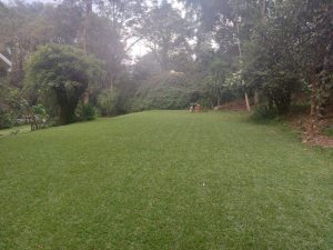 Land for Sale in Kilimani Nairobi Valuers, Appraisers, Assessors, Realtors, Valuators, Properties, For sale, Valuers in Nakuru, Property valuers in Nakuru, Land valuers in Nakuru , Kenya Valuers, Appraisal, Realtors, Naivasha valuers, Land-Property valuers in Eldoret, Mombasa Valuers, Thika Valuers, Nakuru valuers, Kisumu valuers, Muranga valuers, Nyeri valuers, Meru valuers, Nanyuki valuers, Westlands valuers, Kiambu valuers, Thika valuers, Machakos valuers, Kitengela valuers, Kajiado valuers, Naivasha valuers, Kenya valuers, Westlands appraisers, Appraisers in Nairobi Kenya, Home appraisal in Nairobi, Realtors in Nairobi, Ruiru valuers, Karen valuers, Land assessors, evaluators nairobi, Valuators Nairobi Kenya, Property assessors Nairobi Kenya, Appraisers Nairobi Kenya, House assessment Nairobi Kenya, House evaluators Nairobi; Valuers Nairobi Kenya, Appraisers Nairobi Kenya, Assessors Nairobi Kenya, Property assessors Nairobi Kenya, Valuation Company in Nairobi Kenya, Valuation Companies in Nairobi Kenya, Property Valuation Company in Nairobi, Mombasa, Kisumu, Mombasa, Meru, Embu, Nyeri, Nanyuki Kenya, Meru Valuers, Embu Valuers, Nyeri Valuers, Kenya Valuation Companies, best valuation company in Kenya valuers, Appraisers, Assessors, Realtors, Valuators, Properties, For sale, Valuers in Nakuru, Property valuers in Nakuru, Land valuers in Nakuru , Kenya Valuers, Appraisal, Realtors, Naivasha valuers, Land-Property valuers in Eldoret, Mombasa Valuers, Thika Valuers, Nakuru valuers, Kisumu valuers, Muranga valuers, Nyeri valuers, Meru valuers, Nanyuki valuers, Westlands valuers, Kiambu valuers, Thika valuers, Machakos valuers, Kitengela valuers, Kajiado valuers, Naivasha valuers, Kenya valuers, Westlands appraisers, Appraisers in Nairobi Kenya, Home appraisal in Nairobi, Realtors in Nairobi, Ruiru valuers, Karen valuers, Land assessors, evaluators nairobi, Valuators Nairobi Kenya, Property assessors Nairobi Kenya, Appraisers Nairobi Kenya, House assessment Nairobi Kenya, House evaluators Nairobi; Valuers Nairobi Kenya, Appraisers Nairobi Kenya, Assessors Nairobi Kenya, Property assessors Nairobi Kenya, Valuation Company in Nairobi Kenya, Valuation Companies in Nairobi Kenya, Property Valuation Company in Nairobi, Mombasa, Kisumu, Mombasa, Meru, Embu, Nyeri, Nanyuki Kenya, Meru Valuers, Embu Valuers, Nyeri Valuers, Kenya Valuation Companies, best valuation company in Kenyaaluers, Appraisers, Assessors, Realtors, Valuators, Properties, For sale, Valuers in Nakuru, Property valuers in Nakuru, Land valuers in Nakuru , Kenya Valuers, Appraisal, Realtors, Naivasha valuers, Land-Property valuers in Eldoret, Mombasa Valuers, Thika Valuers, Nakuru valuers, Kisumu valuers, Muranga valuers, Nyeri valuers, Meru valuers, Nanyuki valuers, Westlands valuers, Kiambu valuers, Thika valuers, Machakos valuers, Kitengela valuers, Kajiado valuers, Naivasha valuers, Kenya valuers, Westlands appraisers, Appraisers in Nairobi Kenya, Home appraisal in Nairobi, Realtors in Nairobi, Ruiru valuers, Karen valuers, Land assessors, evaluators nairobi, Valuators Nairobi Kenya, Property assessors Nairobi Kenya, Appraisers Nairobi Kenya, House assessment Nairobi Kenya, House evaluators Nairobi; Valuers Nairobi Kenya, Appraisers Nairobi Kenya, Assessors Nairobi Kenya, Property assessors Nairobi Kenya, Valuation Company in Nairobi Kenya, Valuation Companies in Nairobi Kenya, Property Valuation Company in Nairobi, Mombasa, Kisumu, Mombasa, Meru, Embu, Nyeri, Nanyuki Kenya, Meru Valuers, Embu Valuers, Nyeri Valuers, Kenya Valuation Companies, best valuation company in Kenya; Land valuation company, land selling agents Nairobi Kenya, land selling company in Nakuru, property selling company Nakuru, Property selling agents in Naivasha Kenya, Properties for sale Nairobi Kenya, For sale Nairobi Kenya, Property assessor Nairobi Kenya, Valuators Nairobi Kenya, Property Evaluators Nairobi Kenya, Land assessors Nairobi Kenya, Muranga Valuers, Land values Kenya, Mombasa Appraisers, Naivasha Property appraisers, Kiambu property appraisers, Nanyuki Property appraisers, Nyeri property appraisers, Property appraisers Kenya, Property valuers Kenya, Valuators Kenya, Nairobi properties Kenya, Best valuers in Kenya, Kiambu property appraisers, Property valuers Kiambu Kenya, Registered Valuers Mombasa, Licensed valuers Nakuru, Registered valuers Nyeri, licensed valuers Mombasa, registered valuers Thika, Kenya valuers, Valuers Kenya