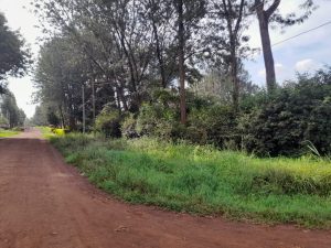 Prime Land/Plots for Sale in Thindigua Kiambu Road - Ideal Investment Opportunity