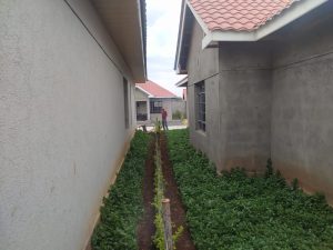 5 bedroomed house for sale in karen, Nairobi; Valuers, Appraisers, Assessors, Realtors, Valuators, Properties, For sale, Valuers in Nakuru, Property valuers in Nakuru, Land valuers in Nakuru , Kenya Valuers, Appraisal, Realtors, Naivasha valuers, Land-Property valuers in Eldoret, Mombasa Valuers, Thika Valuers, Nakuru valuers, Kisumu valuers, Muranga valuers, Nyeri valuers, Meru valuers, Nanyuki valuers, Westlands valuers, Kiambu valuers, Thika valuers, Machakos valuers, Kitengela valuers, Kajiado valuers, Naivasha valuers, Kenya valuers, Westlands appraisers, Appraisers in Nairobi Kenya, Home appraisal in Nairobi, Realtors in Nairobi, Ruiru valuers, Karen valuers, Land assessors, evaluators nairobi, Valuators Nairobi Kenya, Property assessors Nairobi Kenya, Appraisers Nairobi Kenya, House assessment Nairobi Kenya, House evaluators Nairobi; Valuers Nairobi Kenya, Appraisers Nairobi Kenya, Assessors Nairobi Kenya, Property assessors Nairobi Kenya, Valuation Company in Nairobi Kenya, Valuation Companies in Nairobi Kenya, Property Valuation Company in Nairobi, Mombasa, Kisumu, Mombasa, Meru, Embu, Nyeri, Nanyuki Kenya, Meru Valuers, Embu Valuers, Nyeri Valuers, Kenya Valuation Companies, best valuation company in Kenya valuers, Appraisers, Assessors, Realtors, Valuators, Properties, For sale, Valuers in Nakuru, Property valuers in Nakuru, Land valuers in Nakuru , Kenya Valuers, Appraisal, Realtors, Naivasha valuers, Land-Property valuers in Eldoret, Mombasa Valuers, Thika Valuers, Nakuru valuers, Kisumu valuers, Muranga valuers, Nyeri valuers, Meru valuers, Nanyuki valuers, Westlands valuers, Kiambu valuers, Thika valuers, Machakos valuers, Kitengela valuers, Kajiado valuers, Naivasha valuers, Kenya valuers, Westlands appraisers, Appraisers in Nairobi Kenya, Home appraisal in Nairobi, Realtors in Nairobi, Ruiru valuers, Karen valuers, Land assessors, evaluators nairobi, Valuators Nairobi Kenya, Property assessors Nairobi Kenya, Appraisers Nairobi Kenya, House assessment Nairobi Kenya, House evaluators Nairobi; Valuers Nairobi Kenya, Appraisers Nairobi Kenya, Assessors Nairobi Kenya, Property assessors Nairobi Kenya, Valuation Company in Nairobi Kenya, Valuation Companies in Nairobi Kenya, Property Valuation Company in Nairobi, Mombasa, Kisumu, Mombasa, Meru, Embu, Nyeri, Nanyuki Kenya, Meru Valuers, Embu Valuers, Nyeri Valuers, Kenya Valuation Companies, best valuation company in Kenyaaluers, Appraisers, Assessors, Realtors, Valuators, Properties, For sale, Valuers in Nakuru, Property valuers in Nakuru, Land valuers in Nakuru , Kenya Valuers, Appraisal, Realtors, Naivasha valuers, Land-Property valuers in Eldoret, Mombasa Valuers, Thika Valuers, Nakuru valuers, Kisumu valuers, Muranga valuers, Nyeri valuers, Meru valuers, Nanyuki valuers, Westlands valuers, Kiambu valuers, Thika valuers, Machakos valuers, Kitengela valuers, Kajiado valuers, Naivasha valuers, Kenya valuers, Westlands appraisers, Appraisers in Nairobi Kenya, Home appraisal in Nairobi, Realtors in Nairobi, Ruiru valuers, Karen valuers, Land assessors, evaluators nairobi, Valuators Nairobi Kenya, Property assessors Nairobi Kenya, Appraisers Nairobi Kenya, House assessment Nairobi Kenya, House evaluators Nairobi; Valuers Nairobi Kenya, Appraisers Nairobi Kenya, Assessors Nairobi Kenya, Property assessors Nairobi Kenya, Valuation Company in Nairobi Kenya, Valuation Companies in Nairobi Kenya, Property Valuation Company in Nairobi, Mombasa, Kisumu, Mombasa, Meru, Embu, Nyeri, Nanyuki Kenya, Meru Valuers, Embu Valuers, Nyeri Valuers, Kenya Valuation Companies, best valuation company in Kenya; Land valuation company, land selling agents Nairobi Kenya, land selling company in Nakuru, property selling company Nakuru, Property selling agents in Naivasha Kenya, Properties for sale Nairobi Kenya, For sale Nairobi Kenya, Property assessor Nairobi Kenya, Valuators Nairobi Kenya, Property Evaluators Nairobi Kenya, Land assessors Nairobi Kenya, Muranga Valuers, Land values Kenya