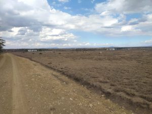 Land for Sale in Kisaju Kitengela, 5 bedroomed house for sale in karen, Nairobi; Valuers, Appraisers, Assessors, Realtors, Valuators, Properties, For sale, Valuers in Nakuru, Property valuers in Nakuru, Land valuers in Nakuru , Kenya Valuers, Appraisal, Realtors, Naivasha valuers, Land-Property valuers in Eldoret, Mombasa Valuers, Thika Valuers, Nakuru valuers, Kisumu valuers, Muranga valuers, Nyeri valuers, Meru valuers, Nanyuki valuers, Westlands valuers, Kiambu valuers, Thika valuers, Machakos valuers, Kitengela valuers, Kajiado valuers, Naivasha valuers, Kenya valuers, Westlands appraisers, Appraisers in Nairobi Kenya, Home appraisal in Nairobi, Realtors in Nairobi, Ruiru valuers, Karen valuers, Land assessors, evaluators nairobi, Valuators Nairobi Kenya, Property assessors Nairobi Kenya, Appraisers Nairobi Kenya, House assessment Nairobi Kenya, House evaluators Nairobi; Valuers Nairobi Kenya, Appraisers Nairobi Kenya, Assessors Nairobi Kenya, Property assessors Nairobi Kenya, Valuation Company in Nairobi Kenya, Valuation Companies in Nairobi Kenya, Property Valuation Company in Nairobi, Mombasa, Kisumu, Mombasa, Meru, Embu, Nyeri, Nanyuki Kenya, Meru Valuers, Embu Valuers, Nyeri Valuers, Kenya Valuation Companies, best valuation company in Kenya valuers, Appraisers, Assessors, Realtors, Valuators, Properties, For sale, Valuers in Nakuru, Property valuers in Nakuru, Land valuers in Nakuru , Kenya Valuers, Appraisal, Realtors, Naivasha valuers, Land-Property valuers in Eldoret, Mombasa Valuers, Thika Valuers, Nakuru valuers, Kisumu valuers, Muranga valuers, Nyeri valuers, Meru valuers, Nanyuki valuers, Westlands valuers, Kiambu valuers, Thika valuers, Machakos valuers, Kitengela valuers, Kajiado valuers, Naivasha valuers, Kenya valuers, Westlands appraisers, Appraisers in Nairobi Kenya, Home appraisal in Nairobi, Realtors in Nairobi, Ruiru valuers, Karen valuers, Land assessors, evaluators nairobi, Valuators Nairobi Kenya, Property assessors Nairobi Kenya, Appraisers Nairobi Kenya, House assessment Nairobi Kenya, House evaluators Nairobi; Valuers Nairobi Kenya, Appraisers Nairobi Kenya, Assessors Nairobi Kenya, Property assessors Nairobi Kenya, Valuation Company in Nairobi Kenya, Valuation Companies in Nairobi Kenya, Property Valuation Company in Nairobi, Mombasa, Kisumu, Mombasa, Meru, Embu, Nyeri, Nanyuki Kenya, Meru Valuers, Embu Valuers, Nyeri Valuers, Kenya Valuation Companies, best valuation company in Kenyaaluers, Appraisers, Assessors, Realtors, Valuators, Properties, For sale, Valuers in Nakuru, Property valuers in Nakuru, Land valuers in Nakuru , Kenya Valuers, Appraisal, Realtors, Naivasha valuers, Land-Property valuers in Eldoret, Mombasa Valuers, Thika Valuers, Nakuru valuers, Kisumu valuers, Muranga valuers, Nyeri valuers, Meru valuers, Nanyuki valuers, Westlands valuers, Kiambu valuers, Thika valuers, Machakos valuers, Kitengela valuers, Kajiado valuers, Naivasha valuers, Kenya valuers, Westlands appraisers, Appraisers in Nairobi Kenya, Home appraisal in Nairobi, Realtors in Nairobi, Ruiru valuers, Karen valuers, Land assessors, evaluators nairobi, Valuators Nairobi Kenya, Property assessors Nairobi Kenya, Appraisers Nairobi Kenya, House assessment Nairobi Kenya, House evaluators Nairobi; Valuers Nairobi Kenya, Appraisers Nairobi Kenya, Assessors Nairobi Kenya, Property assessors Nairobi Kenya, Valuation Company in Nairobi Kenya, Valuation Companies in Nairobi Kenya, Property Valuation Company in Nairobi, Mombasa, Kisumu, Mombasa, Meru, Embu, Nyeri, Nanyuki Kenya, Meru Valuers, Embu Valuers, Nyeri Valuers, Kenya Valuation Companies, best valuation company in Kenya; Land valuation company, land selling agents Nairobi Kenya, land selling company in Nakuru, property selling company Nakuru, Property selling agents in Naivasha Kenya, Properties for sale Nairobi Kenya, For sale Nairobi Kenya, Property assessor Nairobi Kenya, Valuators Nairobi Kenya, Property Evaluators Nairobi Kenya, Land assessors Nairobi Kenya, Muranga Valuers, Land values Kenya