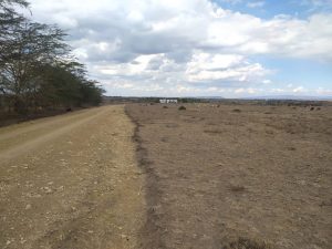 Land for Sale in Kisaju Kitengela, 5 bedroomed house for sale in karen, Nairobi; Valuers, Appraisers, Assessors, Realtors, Valuators, Properties, For sale, Valuers in Nakuru, Property valuers in Nakuru, Land valuers in Nakuru , Kenya Valuers, Appraisal, Realtors, Naivasha valuers, Land-Property valuers in Eldoret, Mombasa Valuers, Thika Valuers, Nakuru valuers, Kisumu valuers, Muranga valuers, Nyeri valuers, Meru valuers, Nanyuki valuers, Westlands valuers, Kiambu valuers, Thika valuers, Machakos valuers, Kitengela valuers, Kajiado valuers, Naivasha valuers, Kenya valuers, Westlands appraisers, Appraisers in Nairobi Kenya, Home appraisal in Nairobi, Realtors in Nairobi, Ruiru valuers, Karen valuers, Land assessors, evaluators nairobi, Valuators Nairobi Kenya, Property assessors Nairobi Kenya, Appraisers Nairobi Kenya, House assessment Nairobi Kenya, House evaluators Nairobi; Valuers Nairobi Kenya, Appraisers Nairobi Kenya, Assessors Nairobi Kenya, Property assessors Nairobi Kenya, Valuation Company in Nairobi Kenya, Valuation Companies in Nairobi Kenya, Property Valuation Company in Nairobi, Mombasa, Kisumu, Mombasa, Meru, Embu, Nyeri, Nanyuki Kenya, Meru Valuers, Embu Valuers, Nyeri Valuers, Kenya Valuation Companies, best valuation company in Kenya valuers, Appraisers, Assessors, Realtors, Valuators, Properties, For sale, Valuers in Nakuru, Property valuers in Nakuru, Land valuers in Nakuru , Kenya Valuers, Appraisal, Realtors, Naivasha valuers, Land-Property valuers in Eldoret, Mombasa Valuers, Thika Valuers, Nakuru valuers, Kisumu valuers, Muranga valuers, Nyeri valuers, Meru valuers, Nanyuki valuers, Westlands valuers, Kiambu valuers, Thika valuers, Machakos valuers, Kitengela valuers, Kajiado valuers, Naivasha valuers, Kenya valuers, Westlands appraisers, Appraisers in Nairobi Kenya, Home appraisal in Nairobi, Realtors in Nairobi, Ruiru valuers, Karen valuers, Land assessors, evaluators nairobi, Valuators Nairobi Kenya, Property assessors Nairobi Kenya, Appraisers Nairobi Kenya, House assessment Nairobi Kenya, House evaluators Nairobi; Valuers Nairobi Kenya, Appraisers Nairobi Kenya, Assessors Nairobi Kenya, Property assessors Nairobi Kenya, Valuation Company in Nairobi Kenya, Valuation Companies in Nairobi Kenya, Property Valuation Company in Nairobi, Mombasa, Kisumu, Mombasa, Meru, Embu, Nyeri, Nanyuki Kenya, Meru Valuers, Embu Valuers, Nyeri Valuers, Kenya Valuation Companies, best valuation company in Kenyaaluers, Appraisers, Assessors, Realtors, Valuators, Properties, For sale, Valuers in Nakuru, Property valuers in Nakuru, Land valuers in Nakuru , Kenya Valuers, Appraisal, Realtors, Naivasha valuers, Land-Property valuers in Eldoret, Mombasa Valuers, Thika Valuers, Nakuru valuers, Kisumu valuers, Muranga valuers, Nyeri valuers, Meru valuers, Nanyuki valuers, Westlands valuers, Kiambu valuers, Thika valuers, Machakos valuers, Kitengela valuers, Kajiado valuers, Naivasha valuers, Kenya valuers, Westlands appraisers, Appraisers in Nairobi Kenya, Home appraisal in Nairobi, Realtors in Nairobi, Ruiru valuers, Karen valuers, Land assessors, evaluators nairobi, Valuators Nairobi Kenya, Property assessors Nairobi Kenya, Appraisers Nairobi Kenya, House assessment Nairobi Kenya, House evaluators Nairobi; Valuers Nairobi Kenya, Appraisers Nairobi Kenya, Assessors Nairobi Kenya, Property assessors Nairobi Kenya, Valuation Company in Nairobi Kenya, Valuation Companies in Nairobi Kenya, Property Valuation Company in Nairobi, Mombasa, Kisumu, Mombasa, Meru, Embu, Nyeri, Nanyuki Kenya, Meru Valuers, Embu Valuers, Nyeri Valuers, Kenya Valuation Companies, best valuation company in Kenya; Land valuation company, land selling agents Nairobi Kenya, land selling company in Nakuru, property selling company Nakuru, Property selling agents in Naivasha Kenya, Properties for sale Nairobi Kenya, For sale Nairobi Kenya, Property assessor Nairobi Kenya, Valuators Nairobi Kenya, Property Evaluators Nairobi Kenya, Land assessors Nairobi Kenya, Muranga Valuers, Land values Kenya