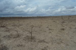 Land for Sale in Konza