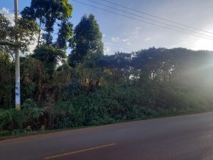 50*100 Commercial Land/Plot for sale at Banana Hill - Ruaka Road