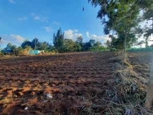 50*100 Commercial Land/Plot for sale at Banana Hill - Ruaka Road