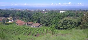 land for sale in nakuru milimani estate; Valuers, Appraisers, Assessors, Realtors, Valuators, Properties, For sale, Valuers in Nakuru, Property valuers in Nakuru, Land valuers in Nakuru , Kenya Valuers, Appraisal, Realtors, Naivasha valuers, Land-Property valuers in Eldoret, Mombasa Valuers, Thika Valuers, Nakuru valuers, Kisumu valuers, Muranga valuers, Nyeri valuers, Meru valuers, Nanyuki valuers, Westlands valuers, Kiambu valuers, Thika valuers, Machakos valuers, Kitengela valuers, Kajiado valuers, Naivasha valuers, Kenya valuers, Westlands appraisers, Appraisers in Nairobi Kenya, Home appraisal in Nairobi, Realtors in Nairobi, Ruiru valuers, Karen valuers, Land assessors, evaluators nairobi, Valuators Nairobi Kenya, Property assessors Nairobi Kenya, Appraisers Nairobi Kenya, House assessment Nairobi Kenya, House evaluators Nairobi; Valuers Nairobi Kenya, Appraisers Nairobi Kenya, Assessors Nairobi Kenya, Property assessors Nairobi Kenya, Valuation Company in Nairobi Kenya, Valuation Companies in Nairobi Kenya, Property Valuation Company in Nairobi, Mombasa, Kisumu, Mombasa, Meru, Embu, Nyeri, Nanyuki Kenya, Meru Valuers, Embu Valuers, Nyeri Valuers, Kenya Valuation Companies, best valuation company in Kenya valuers, Appraisers, Assessors, Realtors, Valuators, Properties, For sale, Valuers in Nakuru, Property valuers in Nakuru, Land valuers in Nakuru , Kenya Valuers, Appraisal, Realtors, Naivasha valuers, Land-Property valuers in Eldoret, Mombasa Valuers, Thika Valuers, Nakuru valuers, Kisumu valuers, Muranga valuers, Nyeri valuers, Meru valuers, Nanyuki valuers, Westlands valuers, Kiambu valuers, Thika valuers, Machakos valuers, Kitengela valuers, Kajiado valuers, Naivasha valuers, Kenya valuers, Westlands appraisers, Appraisers in Nairobi Kenya, Home appraisal in Nairobi, Realtors in Nairobi, Ruiru valuers, Karen valuers, Land assessors, evaluators nairobi, Valuators Nairobi Kenya, Property assessors Nairobi Kenya, Appraisers Nairobi Kenya, House assessment Nairobi Kenya, House evaluators Nairobi; Valuers Nairobi Kenya, Appraisers Nairobi Kenya, Assessors Nairobi Kenya, Property assessors Nairobi Kenya, Valuation Company in Nairobi Kenya, Valuation Companies in Nairobi Kenya, Property Valuation Company in Nairobi, Mombasa, Kisumu, Mombasa, Meru, Embu, Nyeri, Nanyuki Kenya, Meru Valuers, Embu Valuers, Nyeri Valuers, Kenya Valuation Companies, best valuation company in Kenyaaluers, Appraisers, Assessors, Realtors, Valuators, Properties, For sale, Valuers in Nakuru, Property valuers in Nakuru, Land valuers in Nakuru , Kenya Valuers, Appraisal, Realtors, Naivasha valuers, Land-Property valuers in Eldoret, Mombasa Valuers, Thika Valuers, Nakuru valuers, Kisumu valuers, Muranga valuers, Nyeri valuers, Meru valuers, Nanyuki valuers, Westlands valuers, Kiambu valuers, Thika valuers, Machakos valuers, Kitengela valuers, Kajiado valuers, Naivasha valuers, Kenya valuers, Westlands appraisers, Appraisers in Nairobi Kenya, Home appraisal in Nairobi, Realtors in Nairobi, Ruiru valuers, Karen valuers, Land assessors, evaluators nairobi, Valuators Nairobi Kenya, Property assessors Nairobi Kenya, Appraisers Nairobi Kenya, House assessment Nairobi Kenya, House evaluators Nairobi; Valuers Nairobi Kenya, Appraisers Nairobi Kenya, Assessors Nairobi Kenya, Property assessors Nairobi Kenya, Valuation Company in Nairobi Kenya, Valuation Companies in Nairobi Kenya, Property Valuation Company in Nairobi, Mombasa, Kisumu, Mombasa, Meru, Embu, Nyeri, Nanyuki Kenya, Meru Valuers, Embu Valuers, Nyeri Valuers, Kenya Valuation Companies, best valuation company in Kenya