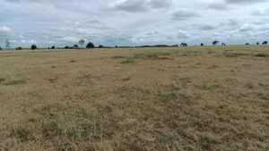 land for sale in kitengela – sholinke area, kajiado; Valuers, Appraisers, Assessors, Realtors, Valuators, Properties, For sale, Valuers in Nakuru, Property valuers in Nakuru, Land valuers in Nakuru , Kenya Valuers, Appraisal, Realtors, Naivasha valuers, Land-Property valuers in Eldoret, Mombasa Valuers, Thika Valuers, Nakuru valuers, Kisumu valuers, Muranga valuers, Nyeri valuers, Meru valuers, Nanyuki valuers, Westlands valuers, Kiambu valuers, Thika valuers, Machakos valuers, Kitengela valuers, Kajiado valuers, Naivasha valuers, Kenya valuers, Westlands appraisers, Appraisers in Nairobi Kenya, Home appraisal in Nairobi, Realtors in Nairobi, Ruiru valuers, Karen valuers, Land assessors, evaluators nairobi, Valuators Nairobi Kenya, Property assessors Nairobi Kenya, Appraisers Nairobi Kenya, House assessment Nairobi Kenya, House evaluators Nairobi; Valuers Nairobi Kenya, Appraisers Nairobi Kenya, Assessors Nairobi Kenya, Property assessors Nairobi Kenya, Valuation Company in Nairobi Kenya, Valuation Companies in Nairobi Kenya, Property Valuation Company in Nairobi, Mombasa, Kisumu, Mombasa, Meru, Embu, Nyeri, Nanyuki Kenya, Meru Valuers, Embu Valuers, Nyeri Valuers, Kenya Valuation Companies, best valuation company in Kenya valuers, Appraisers, Assessors, Realtors, Valuators, Properties, For sale, Valuers in Nakuru, Property valuers in Nakuru, Land valuers in Nakuru , Kenya Valuers, Appraisal, Realtors, Naivasha valuers, Land-Property valuers in Eldoret, Mombasa Valuers, Thika Valuers, Nakuru valuers, Kisumu valuers, Muranga valuers, Nyeri valuers, Meru valuers, Nanyuki valuers, Westlands valuers, Kiambu valuers, Thika valuers, Machakos valuers, Kitengela valuers, Kajiado valuers, Naivasha valuers, Kenya valuers, Westlands appraisers, Appraisers in Nairobi Kenya, Home appraisal in Nairobi, Realtors in Nairobi, Ruiru valuers, Karen valuers, Land assessors, evaluators nairobi, Valuators Nairobi Kenya, Property assessors Nairobi Kenya, Appraisers Nairobi Kenya, House assessment Nairobi Kenya, House evaluators Nairobi; Valuers Nairobi Kenya, Appraisers Nairobi Kenya, Assessors Nairobi Kenya, Property assessors Nairobi Kenya, Valuation Company in Nairobi Kenya, Valuation Companies in Nairobi Kenya, Property Valuation Company in Nairobi, Mombasa, Kisumu, Mombasa, Meru, Embu, Nyeri, Nanyuki Kenya, Meru Valuers, Embu Valuers, Nyeri Valuers, Kenya Valuation Companies, best valuation company in Kenyaaluers, Appraisers, Assessors, Realtors, Valuators, Properties, For sale, Valuers in Nakuru, Property valuers in Nakuru, Land valuers in Nakuru , Kenya Valuers, Appraisal, Realtors, Naivasha valuers, Land-Property valuers in Eldoret, Mombasa Valuers, Thika Valuers, Nakuru valuers, Kisumu valuers, Muranga valuers, Nyeri valuers, Meru valuers, Nanyuki valuers, Westlands valuers, Kiambu valuers, Thika valuers, Machakos valuers, Kitengela valuers, Kajiado valuers, Naivasha valuers, Kenya valuers, Westlands appraisers, Appraisers in Nairobi Kenya, Home appraisal in Nairobi, Realtors in Nairobi, Ruiru valuers, Karen valuers, Land assessors, evaluators nairobi, Valuators Nairobi Kenya, Property assessors Nairobi Kenya, Appraisers Nairobi Kenya, House assessment Nairobi Kenya, House evaluators Nairobi; Valuers Nairobi Kenya, Appraisers Nairobi Kenya, Assessors Nairobi Kenya, Property assessors Nairobi Kenya, Valuation Company in Nairobi Kenya, Valuation Companies in Nairobi Kenya, Property Valuation Company in Nairobi, Mombasa, Kisumu, Mombasa, Meru, Embu, Nyeri, Nanyuki Kenya, Meru Valuers, Embu Valuers, Nyeri Valuers, Kenya Valuation Companies, best valuation company in Kenya