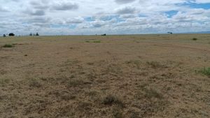 land for sale in kitengela – sholinke area, kajiado; Valuers, Appraisers, Assessors, Realtors, Valuators, Properties, For sale, Valuers in Nakuru, Property valuers in Nakuru, Land valuers in Nakuru , Kenya Valuers, Appraisal, Realtors, Naivasha valuers, Land-Property valuers in Eldoret, Mombasa Valuers, Thika Valuers, Nakuru valuers, Kisumu valuers, Muranga valuers, Nyeri valuers, Meru valuers, Nanyuki valuers, Westlands valuers, Kiambu valuers, Thika valuers, Machakos valuers, Kitengela valuers, Kajiado valuers, Naivasha valuers, Kenya valuers, Westlands appraisers, Appraisers in Nairobi Kenya, Home appraisal in Nairobi, Realtors in Nairobi, Ruiru valuers, Karen valuers, Land assessors, evaluators nairobi, Valuators Nairobi Kenya, Property assessors Nairobi Kenya, Appraisers Nairobi Kenya, House assessment Nairobi Kenya, House evaluators Nairobi; Valuers Nairobi Kenya, Appraisers Nairobi Kenya, Assessors Nairobi Kenya, Property assessors Nairobi Kenya, Valuation Company in Nairobi Kenya, Valuation Companies in Nairobi Kenya, Property Valuation Company in Nairobi, Mombasa, Kisumu, Mombasa, Meru, Embu, Nyeri, Nanyuki Kenya, Meru Valuers, Embu Valuers, Nyeri Valuers, Kenya Valuation Companies, best valuation company in Kenya valuers, Appraisers, Assessors, Realtors, Valuators, Properties, For sale, Valuers in Nakuru, Property valuers in Nakuru, Land valuers in Nakuru , Kenya Valuers, Appraisal, Realtors, Naivasha valuers, Land-Property valuers in Eldoret, Mombasa Valuers, Thika Valuers, Nakuru valuers, Kisumu valuers, Muranga valuers, Nyeri valuers, Meru valuers, Nanyuki valuers, Westlands valuers, Kiambu valuers, Thika valuers, Machakos valuers, Kitengela valuers, Kajiado valuers, Naivasha valuers, Kenya valuers, Westlands appraisers, Appraisers in Nairobi Kenya, Home appraisal in Nairobi, Realtors in Nairobi, Ruiru valuers, Karen valuers, Land assessors, evaluators nairobi, Valuators Nairobi Kenya, Property assessors Nairobi Kenya, Appraisers Nairobi Kenya, House assessment Nairobi Kenya, House evaluators Nairobi; Valuers Nairobi Kenya, Appraisers Nairobi Kenya, Assessors Nairobi Kenya, Property assessors Nairobi Kenya, Valuation Company in Nairobi Kenya, Valuation Companies in Nairobi Kenya, Property Valuation Company in Nairobi, Mombasa, Kisumu, Mombasa, Meru, Embu, Nyeri, Nanyuki Kenya, Meru Valuers, Embu Valuers, Nyeri Valuers, Kenya Valuation Companies, best valuation company in Kenyaaluers, Appraisers, Assessors, Realtors, Valuators, Properties, For sale, Valuers in Nakuru, Property valuers in Nakuru, Land valuers in Nakuru , Kenya Valuers, Appraisal, Realtors, Naivasha valuers, Land-Property valuers in Eldoret, Mombasa Valuers, Thika Valuers, Nakuru valuers, Kisumu valuers, Muranga valuers, Nyeri valuers, Meru valuers, Nanyuki valuers, Westlands valuers, Kiambu valuers, Thika valuers, Machakos valuers, Kitengela valuers, Kajiado valuers, Naivasha valuers, Kenya valuers, Westlands appraisers, Appraisers in Nairobi Kenya, Home appraisal in Nairobi, Realtors in Nairobi, Ruiru valuers, Karen valuers, Land assessors, evaluators nairobi, Valuators Nairobi Kenya, Property assessors Nairobi Kenya, Appraisers Nairobi Kenya, House assessment Nairobi Kenya, House evaluators Nairobi; Valuers Nairobi Kenya, Appraisers Nairobi Kenya, Assessors Nairobi Kenya, Property assessors Nairobi Kenya, Valuation Company in Nairobi Kenya, Valuation Companies in Nairobi Kenya, Property Valuation Company in Nairobi, Mombasa, Kisumu, Mombasa, Meru, Embu, Nyeri, Nanyuki Kenya, Meru Valuers, Embu Valuers, Nyeri Valuers, Kenya Valuation Companies, best valuation company in Kenya