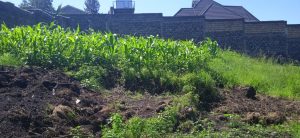 land for sale in nakuru milimani estate; Valuers, Appraisers, Assessors, Realtors, Valuators, Properties, For sale, Valuers in Nakuru, Property valuers in Nakuru, Land valuers in Nakuru , Kenya Valuers, Appraisal, Realtors, Naivasha valuers, Land-Property valuers in Eldoret, Mombasa Valuers, Thika Valuers, Nakuru valuers, Kisumu valuers, Muranga valuers, Nyeri valuers, Meru valuers, Nanyuki valuers, Westlands valuers, Kiambu valuers, Thika valuers, Machakos valuers, Kitengela valuers, Kajiado valuers, Naivasha valuers, Kenya valuers, Westlands appraisers, Appraisers in Nairobi Kenya, Home appraisal in Nairobi, Realtors in Nairobi, Ruiru valuers, Karen valuers, Land assessors, evaluators nairobi, Valuators Nairobi Kenya, Property assessors Nairobi Kenya, Appraisers Nairobi Kenya, House assessment Nairobi Kenya, House evaluators Nairobi; Valuers Nairobi Kenya, Appraisers Nairobi Kenya, Assessors Nairobi Kenya, Property assessors Nairobi Kenya, Valuation Company in Nairobi Kenya, Valuation Companies in Nairobi Kenya, Property Valuation Company in Nairobi, Mombasa, Kisumu, Mombasa, Meru, Embu, Nyeri, Nanyuki Kenya, Meru Valuers, Embu Valuers, Nyeri Valuers, Kenya Valuation Companies, best valuation company in Kenya valuers, Appraisers, Assessors, Realtors, Valuators, Properties, For sale, Valuers in Nakuru, Property valuers in Nakuru, Land valuers in Nakuru , Kenya Valuers, Appraisal, Realtors, Naivasha valuers, Land-Property valuers in Eldoret, Mombasa Valuers, Thika Valuers, Nakuru valuers, Kisumu valuers, Muranga valuers, Nyeri valuers, Meru valuers, Nanyuki valuers, Westlands valuers, Kiambu valuers, Thika valuers, Machakos valuers, Kitengela valuers, Kajiado valuers, Naivasha valuers, Kenya valuers, Westlands appraisers, Appraisers in Nairobi Kenya, Home appraisal in Nairobi, Realtors in Nairobi, Ruiru valuers, Karen valuers, Land assessors, evaluators nairobi, Valuators Nairobi Kenya, Property assessors Nairobi Kenya, Appraisers Nairobi Kenya, House assessment Nairobi Kenya, House evaluators Nairobi; Valuers Nairobi Kenya, Appraisers Nairobi Kenya, Assessors Nairobi Kenya, Property assessors Nairobi Kenya, Valuation Company in Nairobi Kenya, Valuation Companies in Nairobi Kenya, Property Valuation Company in Nairobi, Mombasa, Kisumu, Mombasa, Meru, Embu, Nyeri, Nanyuki Kenya, Meru Valuers, Embu Valuers, Nyeri Valuers, Kenya Valuation Companies, best valuation company in Kenyaaluers, Appraisers, Assessors, Realtors, Valuators, Properties, For sale, Valuers in Nakuru, Property valuers in Nakuru, Land valuers in Nakuru , Kenya Valuers, Appraisal, Realtors, Naivasha valuers, Land-Property valuers in Eldoret, Mombasa Valuers, Thika Valuers, Nakuru valuers, Kisumu valuers, Muranga valuers, Nyeri valuers, Meru valuers, Nanyuki valuers, Westlands valuers, Kiambu valuers, Thika valuers, Machakos valuers, Kitengela valuers, Kajiado valuers, Naivasha valuers, Kenya valuers, Westlands appraisers, Appraisers in Nairobi Kenya, Home appraisal in Nairobi, Realtors in Nairobi, Ruiru valuers, Karen valuers, Land assessors, evaluators nairobi, Valuators Nairobi Kenya, Property assessors Nairobi Kenya, Appraisers Nairobi Kenya, House assessment Nairobi Kenya, House evaluators Nairobi; Valuers Nairobi Kenya, Appraisers Nairobi Kenya, Assessors Nairobi Kenya, Property assessors Nairobi Kenya, Valuation Company in Nairobi Kenya, Valuation Companies in Nairobi Kenya, Property Valuation Company in Nairobi, Mombasa, Kisumu, Mombasa, Meru, Embu, Nyeri, Nanyuki Kenya, Meru Valuers, Embu Valuers, Nyeri Valuers, Kenya Valuation Companies, best valuation company in Kenya