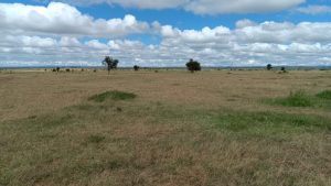 land for sale in kitengela – sholinke area, kajiado; Valuers, Appraisers, Assessors, Realtors, Valuators, Properties, For sale, Valuers in Nakuru, Property valuers in Nakuru, Land valuers in Nakuru , Kenya Valuers, Appraisal, Realtors, Naivasha valuers, Land-Property valuers in Eldoret, Mombasa Valuers, Thika Valuers, Nakuru valuers, Kisumu valuers, Muranga valuers, Nyeri valuers, Meru valuers, Nanyuki valuers, Westlands valuers, Kiambu valuers, Thika valuers, Machakos valuers, Kitengela valuers, Kajiado valuers, Naivasha valuers, Kenya valuers, Westlands appraisers, Appraisers in Nairobi Kenya, Home appraisal in Nairobi, Realtors in Nairobi, Ruiru valuers, Karen valuers, Land assessors, evaluators nairobi, Valuators Nairobi Kenya, Property assessors Nairobi Kenya, Appraisers Nairobi Kenya, House assessment Nairobi Kenya, House evaluators Nairobi; Valuers Nairobi Kenya, Appraisers Nairobi Kenya, Assessors Nairobi Kenya, Property assessors Nairobi Kenya, Valuation Company in Nairobi Kenya, Valuation Companies in Nairobi Kenya, Property Valuation Company in Nairobi, Mombasa, Kisumu, Mombasa, Meru, Embu, Nyeri, Nanyuki Kenya, Meru Valuers, Embu Valuers, Nyeri Valuers, Kenya Valuation Companies, best valuation company in Kenya valuers, Appraisers, Assessors, Realtors, Valuators, Properties, For sale, Valuers in Nakuru, Property valuers in Nakuru, Land valuers in Nakuru , Kenya Valuers, Appraisal, Realtors, Naivasha valuers, Land-Property valuers in Eldoret, Mombasa Valuers, Thika Valuers, Nakuru valuers, Kisumu valuers, Muranga valuers, Nyeri valuers, Meru valuers, Nanyuki valuers, Westlands valuers, Kiambu valuers, Thika valuers, Machakos valuers, Kitengela valuers, Kajiado valuers, Naivasha valuers, Kenya valuers, Westlands appraisers, Appraisers in Nairobi Kenya, Home appraisal in Nairobi, Realtors in Nairobi, Ruiru valuers, Karen valuers, Land assessors, evaluators nairobi, Valuators Nairobi Kenya, Property assessors Nairobi Kenya, Appraisers Nairobi Kenya, House assessment Nairobi Kenya, House evaluators Nairobi; Valuers Nairobi Kenya, Appraisers Nairobi Kenya, Assessors Nairobi Kenya, Property assessors Nairobi Kenya, Valuation Company in Nairobi Kenya, Valuation Companies in Nairobi Kenya, Property Valuation Company in Nairobi, Mombasa, Kisumu, Mombasa, Meru, Embu, Nyeri, Nanyuki Kenya, Meru Valuers, Embu Valuers, Nyeri Valuers, Kenya Valuation Companies, best valuation company in Kenyaaluers, Appraisers, Assessors, Realtors, Valuators, Properties, For sale, Valuers in Nakuru, Property valuers in Nakuru, Land valuers in Nakuru , Kenya Valuers, Appraisal, Realtors, Naivasha valuers, Land-Property valuers in Eldoret, Mombasa Valuers, Thika Valuers, Nakuru valuers, Kisumu valuers, Muranga valuers, Nyeri valuers, Meru valuers, Nanyuki valuers, Westlands valuers, Kiambu valuers, Thika valuers, Machakos valuers, Kitengela valuers, Kajiado valuers, Naivasha valuers, Kenya valuers, Westlands appraisers, Appraisers in Nairobi Kenya, Home appraisal in Nairobi, Realtors in Nairobi, Ruiru valuers, Karen valuers, Land assessors, evaluators nairobi, Valuators Nairobi Kenya, Property assessors Nairobi Kenya, Appraisers Nairobi Kenya, House assessment Nairobi Kenya, House evaluators Nairobi; Valuers Nairobi Kenya, Appraisers Nairobi Kenya, Assessors Nairobi Kenya, Property assessors Nairobi Kenya, Valuation Company in Nairobi Kenya, Valuation Companies in Nairobi Kenya, Property Valuation Company in Nairobi, Mombasa, Kisumu, Mombasa, Meru, Embu, Nyeri, Nanyuki Kenya, Meru Valuers, Embu Valuers, Nyeri Valuers, Kenya Valuation Companies, best valuation company in Kenya