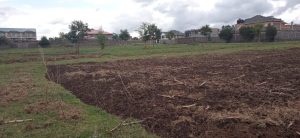 prime ⅛acre plot for sale at soilo, nakuru city; Valuers, Appraisers, Assessors, Realtors, Valuators, Properties, For sale, Valuers in Nakuru, Property valuers in Nakuru, Land valuers in Nakuru , Kenya Valuers, Appraisal, Realtors, Naivasha valuers, Land-Property valuers in Eldoret, Mombasa Valuers, Thika Valuers, Nakuru valuers, Kisumu valuers, Muranga valuers, Nyeri valuers, Meru valuers, Nanyuki valuers, Westlands valuers, Kiambu valuers, Thika valuers, Machakos valuers, Kitengela valuers, Kajiado valuers, Naivasha valuers, Kenya valuers, Westlands appraisers, Appraisers in Nairobi Kenya, Home appraisal in Nairobi, Realtors in Nairobi, Ruiru valuers, Karen valuers, Land assessors, evaluators nairobi, Valuators Nairobi Kenya, Property assessors Nairobi Kenya, Appraisers Nairobi Kenya, House assessment Nairobi Kenya, House evaluators Nairobi; Valuers Nairobi Kenya, Appraisers Nairobi Kenya, Assessors Nairobi Kenya, Property assessors Nairobi Kenya, Valuation Company in Nairobi Kenya, Valuation Companies in Nairobi Kenya, Property Valuation Company in Nairobi, Mombasa, Kisumu, Mombasa, Meru, Embu, Nyeri, Nanyuki Kenya, Meru Valuers, Embu Valuers, Nyeri Valuers, Kenya Valuation Companies, best valuation company in Kenya valuers, Appraisers, Assessors, Realtors, Valuators, Properties, For sale, Valuers in Nakuru, Property valuers in Nakuru, Land valuers in Nakuru , Kenya Valuers, Appraisal, Realtors, Naivasha valuers, Land-Property valuers in Eldoret, Mombasa Valuers, Thika Valuers, Nakuru valuers, Kisumu valuers, Muranga valuers, Nyeri valuers, Meru valuers, Nanyuki valuers, Westlands valuers, Kiambu valuers, Thika valuers, Machakos valuers, Kitengela valuers, Kajiado valuers, Naivasha valuers, Kenya valuers, Westlands appraisers, Appraisers in Nairobi Kenya, Home appraisal in Nairobi, Realtors in Nairobi, Ruiru valuers, Karen valuers, Land assessors, evaluators nairobi, Valuators Nairobi Kenya, Property assessors Nairobi Kenya, Appraisers Nairobi Kenya, House assessment Nairobi Kenya, House evaluators Nairobi; Valuers Nairobi Kenya, Appraisers Nairobi Kenya, Assessors Nairobi Kenya, Property assessors Nairobi Kenya, Valuation Company in Nairobi Kenya, Valuation Companies in Nairobi Kenya, Property Valuation Company in Nairobi, Mombasa, Kisumu, Mombasa, Meru, Embu, Nyeri, Nanyuki Kenya, Meru Valuers, Embu Valuers, Nyeri Valuers, Kenya Valuation Companies, best valuation company in Kenyaaluers, Appraisers, Assessors, Realtors, Valuators, Properties, For sale, Valuers in Nakuru, Property valuers in Nakuru, Land valuers in Nakuru , Kenya Valuers, Appraisal, Realtors, Naivasha valuers, Land-Property valuers in Eldoret, Mombasa Valuers, Thika Valuers, Nakuru valuers, Kisumu valuers, Muranga valuers, Nyeri valuers, Meru valuers, Nanyuki valuers, Westlands valuers, Kiambu valuers, Thika valuers, Machakos valuers, Kitengela valuers, Kajiado valuers, Naivasha valuers, Kenya valuers, Westlands appraisers, Appraisers in Nairobi Kenya, Home appraisal in Nairobi, Realtors in Nairobi, Ruiru valuers, Karen valuers, Land assessors, evaluators nairobi, Valuators Nairobi Kenya, Property assessors Nairobi Kenya, Appraisers Nairobi Kenya, House assessment Nairobi Kenya, House evaluators Nairobi; Valuers Nairobi Kenya, Appraisers Nairobi Kenya, Assessors Nairobi Kenya, Property assessors Nairobi Kenya, Valuation Company in Nairobi Kenya, Valuation Companies in Nairobi Kenya, Property Valuation Company in Nairobi, Mombasa, Kisumu, Mombasa, Meru, Embu, Nyeri, Nanyuki Kenya, Meru Valuers, Embu Valuers, Nyeri Valuers, Kenya Valuation Companies, best valuation company in Kenya