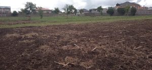 prime ⅛acre plot for sale at soilo, nakuru city; Valuers, Appraisers, Assessors, Realtors, Valuators, Properties, For sale, Valuers in Nakuru, Property valuers in Nakuru, Land valuers in Nakuru , Kenya Valuers, Appraisal, Realtors, Naivasha valuers, Land-Property valuers in Eldoret, Mombasa Valuers, Thika Valuers, Nakuru valuers, Kisumu valuers, Muranga valuers, Nyeri valuers, Meru valuers, Nanyuki valuers, Westlands valuers, Kiambu valuers, Thika valuers, Machakos valuers, Kitengela valuers, Kajiado valuers, Naivasha valuers, Kenya valuers, Westlands appraisers, Appraisers in Nairobi Kenya, Home appraisal in Nairobi, Realtors in Nairobi, Ruiru valuers, Karen valuers, Land assessors, evaluators nairobi, Valuators Nairobi Kenya, Property assessors Nairobi Kenya, Appraisers Nairobi Kenya, House assessment Nairobi Kenya, House evaluators Nairobi; Valuers Nairobi Kenya, Appraisers Nairobi Kenya, Assessors Nairobi Kenya, Property assessors Nairobi Kenya, Valuation Company in Nairobi Kenya, Valuation Companies in Nairobi Kenya, Property Valuation Company in Nairobi, Mombasa, Kisumu, Mombasa, Meru, Embu, Nyeri, Nanyuki Kenya, Meru Valuers, Embu Valuers, Nyeri Valuers, Kenya Valuation Companies, best valuation company in Kenya valuers, Appraisers, Assessors, Realtors, Valuators, Properties, For sale, Valuers in Nakuru, Property valuers in Nakuru, Land valuers in Nakuru , Kenya Valuers, Appraisal, Realtors, Naivasha valuers, Land-Property valuers in Eldoret, Mombasa Valuers, Thika Valuers, Nakuru valuers, Kisumu valuers, Muranga valuers, Nyeri valuers, Meru valuers, Nanyuki valuers, Westlands valuers, Kiambu valuers, Thika valuers, Machakos valuers, Kitengela valuers, Kajiado valuers, Naivasha valuers, Kenya valuers, Westlands appraisers, Appraisers in Nairobi Kenya, Home appraisal in Nairobi, Realtors in Nairobi, Ruiru valuers, Karen valuers, Land assessors, evaluators nairobi, Valuators Nairobi Kenya, Property assessors Nairobi Kenya, Appraisers Nairobi Kenya, House assessment Nairobi Kenya, House evaluators Nairobi; Valuers Nairobi Kenya, Appraisers Nairobi Kenya, Assessors Nairobi Kenya, Property assessors Nairobi Kenya, Valuation Company in Nairobi Kenya, Valuation Companies in Nairobi Kenya, Property Valuation Company in Nairobi, Mombasa, Kisumu, Mombasa, Meru, Embu, Nyeri, Nanyuki Kenya, Meru Valuers, Embu Valuers, Nyeri Valuers, Kenya Valuation Companies, best valuation company in Kenyaaluers, Appraisers, Assessors, Realtors, Valuators, Properties, For sale, Valuers in Nakuru, Property valuers in Nakuru, Land valuers in Nakuru , Kenya Valuers, Appraisal, Realtors, Naivasha valuers, Land-Property valuers in Eldoret, Mombasa Valuers, Thika Valuers, Nakuru valuers, Kisumu valuers, Muranga valuers, Nyeri valuers, Meru valuers, Nanyuki valuers, Westlands valuers, Kiambu valuers, Thika valuers, Machakos valuers, Kitengela valuers, Kajiado valuers, Naivasha valuers, Kenya valuers, Westlands appraisers, Appraisers in Nairobi Kenya, Home appraisal in Nairobi, Realtors in Nairobi, Ruiru valuers, Karen valuers, Land assessors, evaluators nairobi, Valuators Nairobi Kenya, Property assessors Nairobi Kenya, Appraisers Nairobi Kenya, House assessment Nairobi Kenya, House evaluators Nairobi; Valuers Nairobi Kenya, Appraisers Nairobi Kenya, Assessors Nairobi Kenya, Property assessors Nairobi Kenya, Valuation Company in Nairobi Kenya, Valuation Companies in Nairobi Kenya, Property Valuation Company in Nairobi, Mombasa, Kisumu, Mombasa, Meru, Embu, Nyeri, Nanyuki Kenya, Meru Valuers, Embu Valuers, Nyeri Valuers, Kenya Valuation Companies, best valuation company in Kenya