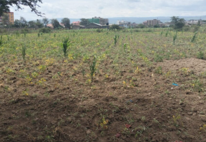 Land for sale at Barnabas in Nakuru County