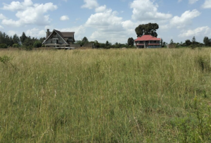 Prime Kabarak 1 acre Land for Sale in Nakuru County; Valuers, Appraisers, Assessors, Realtors, Valuators, Properties, For sale, Valuers in Nakuru, Property valuers in Nakuru, Land valuers in Nakuru , Kenya Valuers, Appraisal, Realtors, Naivasha valuers, Land-Property valuers in Eldoret, Mombasa Valuers, Thika Valuers, Nakuru valuers, Kisumu valuers, Muranga valuers, Nyeri valuers, Meru valuers, Nanyuki valuers, Westlands valuers, Kiambu valuers, Thika valuers, Machakos valuers, Kitengela valuers, Kajiado valuers, Naivasha valuers, Kenya valuers, Westlands appraisers, Appraisers in Nairobi Kenya, Home appraisal in Nairobi, Realtors in Nairobi, Ruiru valuers, Karen valuers, Land assessors, evaluators nairobi, Valuators Nairobi Kenya, Property assessors Nairobi Kenya, Appraisers Nairobi Kenya, House assessment Nairobi Kenya, House evaluators Nairobi; Valuers Nairobi Kenya, Appraisers Nairobi Kenya, Assessors Nairobi Kenya, Property assessors Nairobi Kenya, Valuation Company in Nairobi Kenya, Valuation Companies in Nairobi Kenya, Property Valuation Company in Nairobi, Mombasa, Kisumu, Mombasa, Meru, Embu, Nyeri, Nanyuki Kenya, Meru Valuers, Embu Valuers, Nyeri Valuers, Kenya Valuation Companies, best valuation company in Kenya valuers, Appraisers, Assessors, Realtors, Valuators, Properties, For sale, Valuers in Nakuru, Property valuers in Nakuru, Land valuers in Nakuru , Kenya Valuers, Appraisal, Realtors, Naivasha valuers, Land-Property valuers in Eldoret, Mombasa Valuers, Thika Valuers, Nakuru valuers, Kisumu valuers, Muranga valuers, Nyeri valuers, Meru valuers, Nanyuki valuers, Westlands valuers, Kiambu valuers, Thika valuers, Machakos valuers, Kitengela valuers, Kajiado valuers, Naivasha valuers, Kenya valuers, Westlands appraisers, Appraisers in Nairobi Kenya, Home appraisal in Nairobi, Realtors in Nairobi, Ruiru valuers, Karen valuers, Land assessors, evaluators nairobi, Valuators Nairobi Kenya, Property assessors Nairobi Kenya, Appraisers Nairobi Kenya, House assessment Nairobi Kenya, House evaluators Nairobi; Valuers Nairobi Kenya, Appraisers Nairobi Kenya, Assessors Nairobi Kenya, Property assessors Nairobi Kenya, Valuation Company in Nairobi Kenya, Valuation Companies in Nairobi Kenya, Property Valuation Company in Nairobi, Mombasa, Kisumu, Mombasa, Meru, Embu, Nyeri, Nanyuki Kenya, Meru Valuers, Embu Valuers, Nyeri Valuers, Kenya Valuation Companies, best valuation company in Kenyaaluers, Appraisers, Assessors, Realtors, Valuators, Properties, For sale, Valuers in Nakuru, Property valuers in Nakuru, Land valuers in Nakuru , Kenya Valuers, Appraisal, Realtors, Naivasha valuers, Land-Property valuers in Eldoret, Mombasa Valuers, Thika Valuers, Nakuru valuers, Kisumu valuers, Muranga valuers, Nyeri valuers, Meru valuers, Nanyuki valuers, Westlands valuers, Kiambu valuers, Thika valuers, Machakos valuers, Kitengela valuers, Kajiado valuers, Naivasha valuers, Kenya valuers, Westlands appraisers, Appraisers in Nairobi Kenya, Home appraisal in Nairobi, Realtors in Nairobi, Ruiru valuers, Karen valuers, Land assessors, evaluators nairobi, Valuators Nairobi Kenya, Property assessors Nairobi Kenya, Appraisers Nairobi Kenya, House assessment Nairobi Kenya, House evaluators Nairobi; Valuers Nairobi Kenya, Appraisers Nairobi Kenya, Assessors Nairobi Kenya, Property assessors Nairobi Kenya, Valuation Company in Nairobi Kenya, Valuation Companies in Nairobi Kenya, Property Valuation Company in Nairobi, Mombasa, Kisumu, Mombasa, Meru, Embu, Nyeri, Nanyuki Kenya, Meru Valuers, Embu Valuers, Nyeri Valuers, Kenya Valuation Companies, best valuation company in Kenya