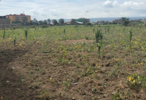 Land for sale at Barnabas in Nakuru County