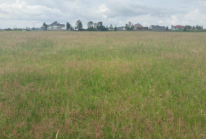 Prime 7 Acre Land for Sale in Nakuru County - Ngata Area