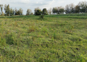 Land for sale in Kiamunyi Nakuru