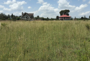 Prime Kabarak 1 acre Land for Sale in Nakuru County; Valuers, Appraisers, Assessors, Realtors, Valuators, Properties, For sale, Valuers in Nakuru, Property valuers in Nakuru, Land valuers in Nakuru , Kenya Valuers, Appraisal, Realtors, Naivasha valuers, Land-Property valuers in Eldoret, Mombasa Valuers, Thika Valuers, Nakuru valuers, Kisumu valuers, Muranga valuers, Nyeri valuers, Meru valuers, Nanyuki valuers, Westlands valuers, Kiambu valuers, Thika valuers, Machakos valuers, Kitengela valuers, Kajiado valuers, Naivasha valuers, Kenya valuers, Westlands appraisers, Appraisers in Nairobi Kenya, Home appraisal in Nairobi, Realtors in Nairobi, Ruiru valuers, Karen valuers, Land assessors, evaluators nairobi, Valuators Nairobi Kenya, Property assessors Nairobi Kenya, Appraisers Nairobi Kenya, House assessment Nairobi Kenya, House evaluators Nairobi; Valuers Nairobi Kenya, Appraisers Nairobi Kenya, Assessors Nairobi Kenya, Property assessors Nairobi Kenya, Valuation Company in Nairobi Kenya, Valuation Companies in Nairobi Kenya, Property Valuation Company in Nairobi, Mombasa, Kisumu, Mombasa, Meru, Embu, Nyeri, Nanyuki Kenya, Meru Valuers, Embu Valuers, Nyeri Valuers, Kenya Valuation Companies, best valuation company in Kenya valuers, Appraisers, Assessors, Realtors, Valuators, Properties, For sale, Valuers in Nakuru, Property valuers in Nakuru, Land valuers in Nakuru , Kenya Valuers, Appraisal, Realtors, Naivasha valuers, Land-Property valuers in Eldoret, Mombasa Valuers, Thika Valuers, Nakuru valuers, Kisumu valuers, Muranga valuers, Nyeri valuers, Meru valuers, Nanyuki valuers, Westlands valuers, Kiambu valuers, Thika valuers, Machakos valuers, Kitengela valuers, Kajiado valuers, Naivasha valuers, Kenya valuers, Westlands appraisers, Appraisers in Nairobi Kenya, Home appraisal in Nairobi, Realtors in Nairobi, Ruiru valuers, Karen valuers, Land assessors, evaluators nairobi, Valuators Nairobi Kenya, Property assessors Nairobi Kenya, Appraisers Nairobi Kenya, House assessment Nairobi Kenya, House evaluators Nairobi; Valuers Nairobi Kenya, Appraisers Nairobi Kenya, Assessors Nairobi Kenya, Property assessors Nairobi Kenya, Valuation Company in Nairobi Kenya, Valuation Companies in Nairobi Kenya, Property Valuation Company in Nairobi, Mombasa, Kisumu, Mombasa, Meru, Embu, Nyeri, Nanyuki Kenya, Meru Valuers, Embu Valuers, Nyeri Valuers, Kenya Valuation Companies, best valuation company in Kenyaaluers, Appraisers, Assessors, Realtors, Valuators, Properties, For sale, Valuers in Nakuru, Property valuers in Nakuru, Land valuers in Nakuru , Kenya Valuers, Appraisal, Realtors, Naivasha valuers, Land-Property valuers in Eldoret, Mombasa Valuers, Thika Valuers, Nakuru valuers, Kisumu valuers, Muranga valuers, Nyeri valuers, Meru valuers, Nanyuki valuers, Westlands valuers, Kiambu valuers, Thika valuers, Machakos valuers, Kitengela valuers, Kajiado valuers, Naivasha valuers, Kenya valuers, Westlands appraisers, Appraisers in Nairobi Kenya, Home appraisal in Nairobi, Realtors in Nairobi, Ruiru valuers, Karen valuers, Land assessors, evaluators nairobi, Valuators Nairobi Kenya, Property assessors Nairobi Kenya, Appraisers Nairobi Kenya, House assessment Nairobi Kenya, House evaluators Nairobi; Valuers Nairobi Kenya, Appraisers Nairobi Kenya, Assessors Nairobi Kenya, Property assessors Nairobi Kenya, Valuation Company in Nairobi Kenya, Valuation Companies in Nairobi Kenya, Property Valuation Company in Nairobi, Mombasa, Kisumu, Mombasa, Meru, Embu, Nyeri, Nanyuki Kenya, Meru Valuers, Embu Valuers, Nyeri Valuers, Kenya Valuation Companies, best valuation company in Kenya