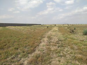Plots for sale in Juja South; Valuers, Appraisers, Assessors, Realtors, Valuators, Properties, For sale, Valuers in Nakuru, Property valuers in Nakuru, Land valuers in Nakuru , Kenya Valuers, Appraisal, Realtors, Naivasha valuers, Land-Property valuers in Eldoret, Mombasa Valuers, Thika Valuers, Nakuru valuers, Kisumu valuers, Muranga valuers, Nyeri valuers, Meru valuers, Nanyuki valuers, Westlands valuers, Kiambu valuers, Thika valuers, Machakos valuers, Kitengela valuers, Kajiado valuers, Naivasha valuers, Kenya valuers, Westlands appraisers, Appraisers in Nairobi Kenya, Home appraisal in Nairobi, Realtors in Nairobi, Ruiru valuers, Karen valuers, Land assessors, evaluators nairobi, Valuators Nairobi Kenya, Property assessors Nairobi Kenya, Appraisers Nairobi Kenya, House assessment Nairobi Kenya, House evaluators Nairobi; Valuers Nairobi Kenya, Appraisers Nairobi Kenya, Assessors Nairobi Kenya, Property assessors Nairobi Kenya, Valuation Company in Nairobi Kenya, Valuation Companies in Nairobi Kenya, Property Valuation Company in Nairobi, Mombasa, Kisumu, Mombasa, Meru, Embu, Nyeri, Nanyuki Kenya, Meru Valuers, Embu Valuers, Nyeri Valuers, Kenya Valuation Companies, best valuation company in Kenya valuers, Appraisers, Assessors, Realtors, Valuators, Properties, For sale, Valuers in Nakuru, Property valuers in Nakuru, Land valuers in Nakuru , Kenya Valuers, Appraisal, Realtors, Naivasha valuers, Land-Property valuers in Eldoret, Mombasa Valuers, Thika Valuers, Nakuru valuers, Kisumu valuers, Muranga valuers, Nyeri valuers, Meru valuers, Nanyuki valuers, Westlands valuers, Kiambu valuers, Thika valuers, Machakos valuers, Kitengela valuers, Kajiado valuers, Naivasha valuers, Kenya valuers, Westlands appraisers, Appraisers in Nairobi Kenya, Home appraisal in Nairobi, Realtors in Nairobi, Ruiru valuers, Karen valuers, Land assessors, evaluators nairobi, Valuators Nairobi Kenya, Property assessors Nairobi Kenya, Appraisers Nairobi Kenya, House assessment Nairobi Kenya, House evaluators Nairobi; Valuers Nairobi Kenya, Appraisers Nairobi Kenya, Assessors Nairobi Kenya, Property assessors Nairobi Kenya, Valuation Company in Nairobi Kenya, Valuation Companies in Nairobi Kenya, Property Valuation Company in Nairobi, Mombasa, Kisumu, Mombasa, Meru, Embu, Nyeri, Nanyuki Kenya, Meru Valuers, Embu Valuers, Nyeri Valuers, Kenya Valuation Companies, best valuation company in Kenyaaluers, Appraisers, Assessors, Realtors, Valuators, Properties, For sale, Valuers in Nakuru, Property valuers in Nakuru, Land valuers in Nakuru , Kenya Valuers, Appraisal, Realtors, Naivasha valuers, Land-Property valuers in Eldoret, Mombasa Valuers, Thika Valuers, Nakuru valuers, Kisumu valuers, Muranga valuers, Nyeri valuers, Meru valuers, Nanyuki valuers, Westlands valuers, Kiambu valuers, Thika valuers, Machakos valuers, Kitengela valuers, Kajiado valuers, Naivasha valuers, Kenya valuers, Westlands appraisers, Appraisers in Nairobi Kenya, Home appraisal in Nairobi, Realtors in Nairobi, Ruiru valuers, Karen valuers, Land assessors, evaluators nairobi, Valuators Nairobi Kenya, Property assessors Nairobi Kenya, Appraisers Nairobi Kenya, House assessment Nairobi Kenya, House evaluators Nairobi; Valuers Nairobi Kenya, Appraisers Nairobi Kenya, Assessors Nairobi Kenya, Property assessors Nairobi Kenya, Valuation Company in Nairobi Kenya, Valuation Companies in Nairobi Kenya, Property Valuation Company in Nairobi, Mombasa, Kisumu, Mombasa, Meru, Embu, Nyeri, Nanyuki Kenya, Meru Valuers, Embu Valuers, Nyeri Valuers, Kenya Valuation Companies, best valuation company in Kenya