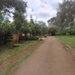 Prime Land/ Plot for Sale in Karen, Karen Hardy
