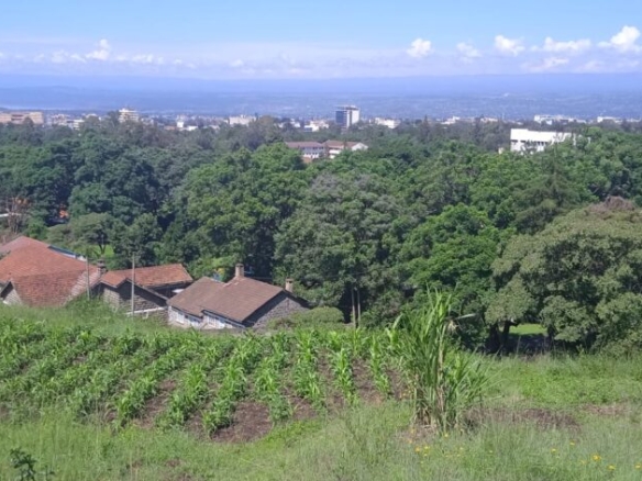 Land for sale in Nakuru Milimani Estate