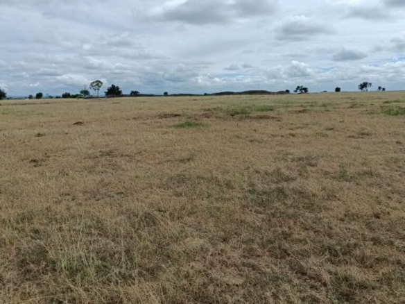 Land for sale in Kitengela – Sholinke Area, Kajiado