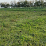 Land for sale in Kiamunyi Nakuru