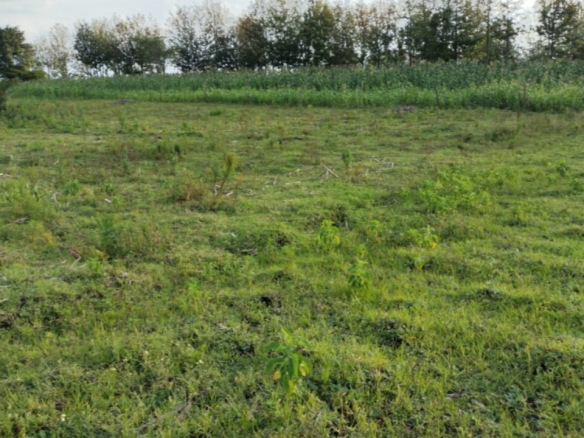 Land for sale in Kiamunyi Nakuru