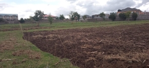 PRIME ⅛ ACRE PLOT FOR SALE AT SOILO, NAKURU CITY