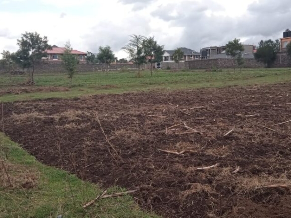 PRIME ⅛ ACRE PLOT FOR SALE AT SOILO, NAKURU CITY