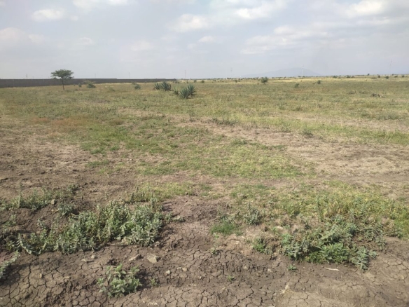 Prime Land / Plots for Sale in Juja South, Juja - Affordable Investments with Endless Potential