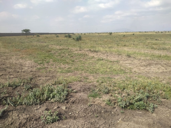 prime land/plots for sale in juja south, juja - affordable investments with endless potential Prime Land/Plots for Sale in Juja South, Juja &#8211; Affordable Investments with Endless Potential 7