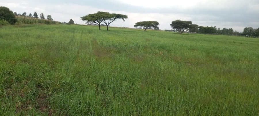 land for Sale at Mangu in Nakuru' Valuers, Appraisers, Assessors, Realtors, Valuators, Properties, For sale, Valuers in Nakuru, Property valuers in Nakuru, Land valuers in Nakuru , Kenya Valuers, Appraisal, Realtors, Naivasha valuers, Land-Property valuers in Eldoret, Mombasa Valuers, Thika Valuers, Nakuru valuers, Kisumu valuers, Muranga valuers, Nyeri valuers, Meru valuers, Nanyuki valuers, Westlands valuers, Kiambu valuers, Thika valuers, Machakos valuers, Kitengela valuers, Kajiado valuers, Naivasha valuers, Kenya valuers, Westlands appraisers, Appraisers in Nairobi Kenya, Home appraisal in Nairobi, Realtors in Nairobi, Ruiru valuers, Karen valuers, Land assessors, evaluators nairobi, Valuators Nairobi Kenya, Property assessors Nairobi Kenya, Appraisers Nairobi Kenya, House assessment Nairobi Kenya, House evaluators Nairobi; Valuers Nairobi Kenya, Appraisers Nairobi Kenya, Assessors Nairobi Kenya, Property assessors Nairobi Kenya, Valuation Company in Nairobi Kenya, Valuation Companies in Nairobi Kenya, Property Valuation Company in Nairobi, Mombasa, Kisumu, Mombasa, Meru, Embu, Nyeri, Nanyuki Kenya, Meru Valuers, Embu Valuers, Nyeri Valuers, Kenya Valuation Companies, best valuation company in Kenya valuers, Appraisers, Assessors, Realtors, Valuators, Properties, For sale, Valuers in Nakuru, Property valuers in Nakuru, Land valuers in Nakuru , Kenya Valuers, Appraisal, Realtors, Naivasha valuers, Land-Property valuers in Eldoret, Mombasa Valuers, Thika Valuers, Nakuru valuers, Kisumu valuers, Muranga valuers, Nyeri valuers, Meru valuers, Nanyuki valuers, Westlands valuers, Kiambu valuers, Thika valuers, Machakos valuers, Kitengela valuers, Kajiado valuers, Naivasha valuers, Kenya valuers, Westlands appraisers, Appraisers in Nairobi Kenya, Home appraisal in Nairobi, Realtors in Nairobi, Ruiru valuers, Karen valuers, Land assessors, evaluators nairobi, Valuators Nairobi Kenya, Property assessors Nairobi Kenya, Appraisers Nairobi Kenya, House assessment Nairobi Kenya, House evaluators Nairobi; Valuers Nairobi Kenya, Appraisers Nairobi Kenya, Assessors Nairobi Kenya, Property assessors Nairobi Kenya, Valuation Company in Nairobi Kenya, Valuation Companies in Nairobi Kenya, Property Valuation Company in Nairobi, Mombasa, Kisumu, Mombasa, Meru, Embu, Nyeri, Nanyuki Kenya, Meru Valuers, Embu Valuers, Nyeri Valuers, Kenya Valuation Companies, best valuation company in Kenyaaluers, Appraisers, Assessors, Realtors, Valuators, Properties, For sale, Valuers in Nakuru, Property valuers in Nakuru, Land valuers in Nakuru , Kenya Valuers, Appraisal, Realtors, Naivasha valuers, Land-Property valuers in Eldoret, Mombasa Valuers, Thika Valuers, Nakuru valuers, Kisumu valuers, Muranga valuers, Nyeri valuers, Meru valuers, Nanyuki valuers, Westlands valuers, Kiambu valuers, Thika valuers, Machakos valuers, Kitengela valuers, Kajiado valuers, Naivasha valuers, Kenya valuers, Westlands appraisers, Appraisers in Nairobi Kenya, Home appraisal in Nairobi, Realtors in Nairobi, Ruiru valuers, Karen valuers, Land assessors, evaluators nairobi, Valuators Nairobi Kenya, Property assessors Nairobi Kenya, Appraisers Nairobi Kenya, House assessment Nairobi Kenya, House evaluators Nairobi; Valuers Nairobi Kenya, Appraisers Nairobi Kenya, Assessors Nairobi Kenya, Property assessors Nairobi Kenya, Valuation Company in Nairobi Kenya, Valuation Companies in Nairobi Kenya, Property Valuation Company in Nairobi, Mombasa, Kisumu, Mombasa, Meru, Embu, Nyeri, Nanyuki Kenya, Meru Valuers, Embu Valuers, Nyeri Valuers, Kenya Valuation Companies, best valuation company in Kenya